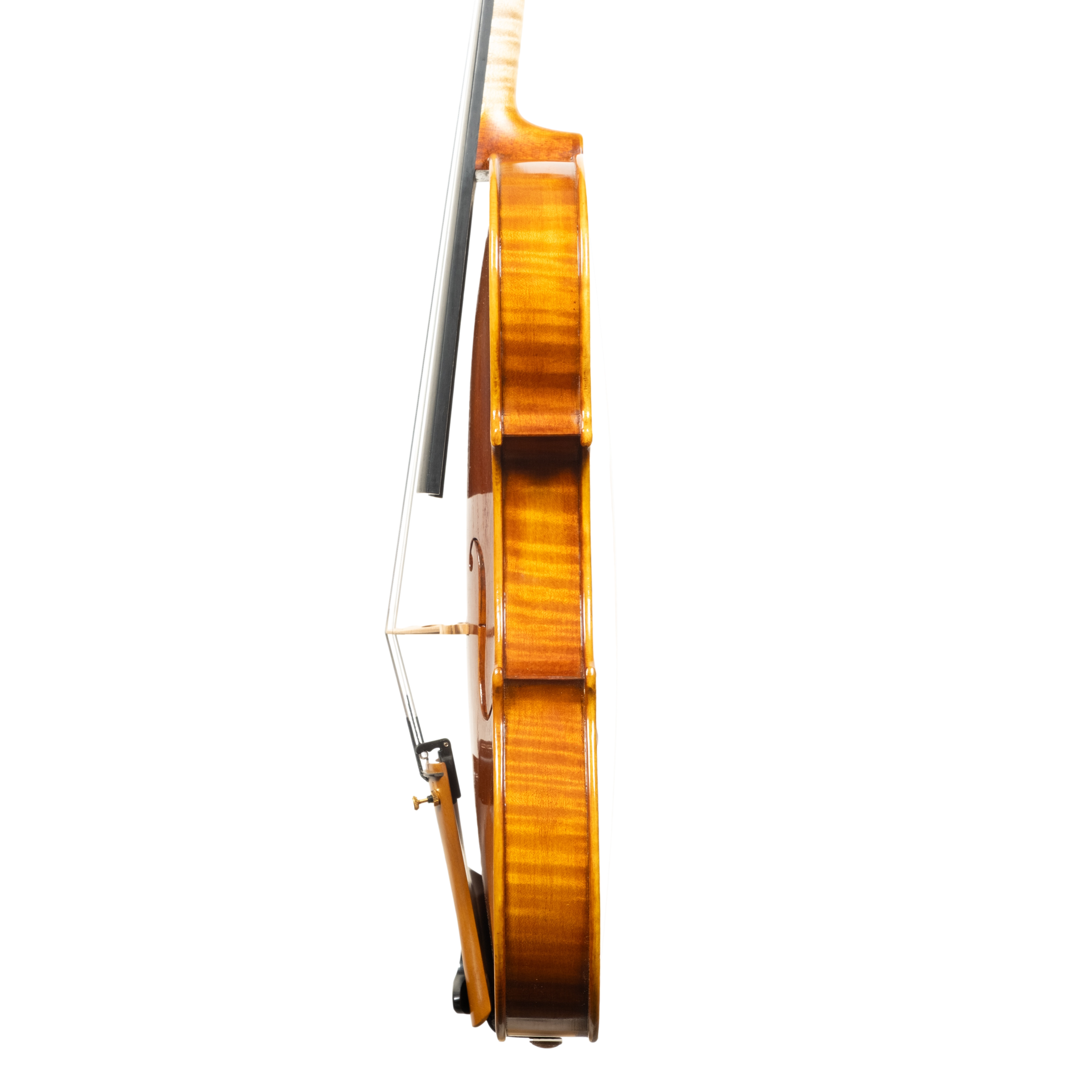Violin - Linea Macchi, Guarneri "Lord Wilton" 2026 Fersina