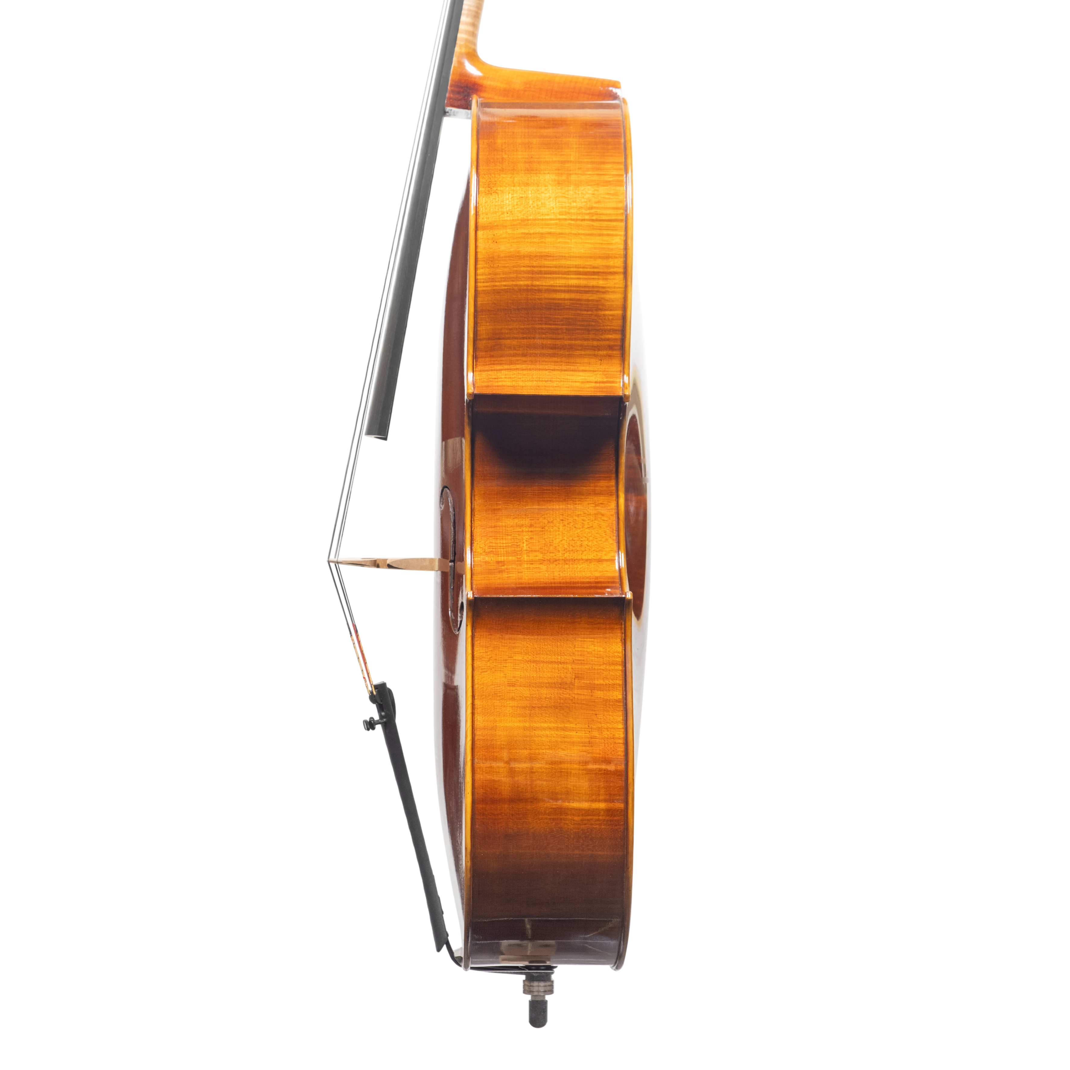 Cello - Scala Perfetta, Montagnana, Cremona 2025 "CIMA TOSA"