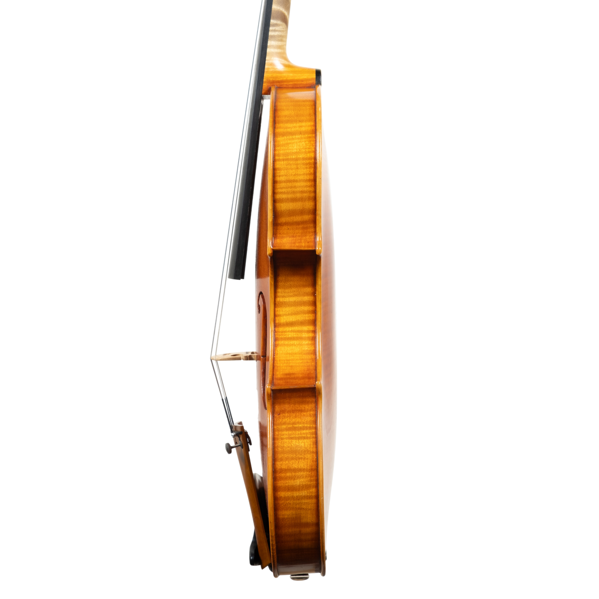 Violin - Marco Dotti, copy of Guarneri del Gesù "Ole Bull", Cremona 2026