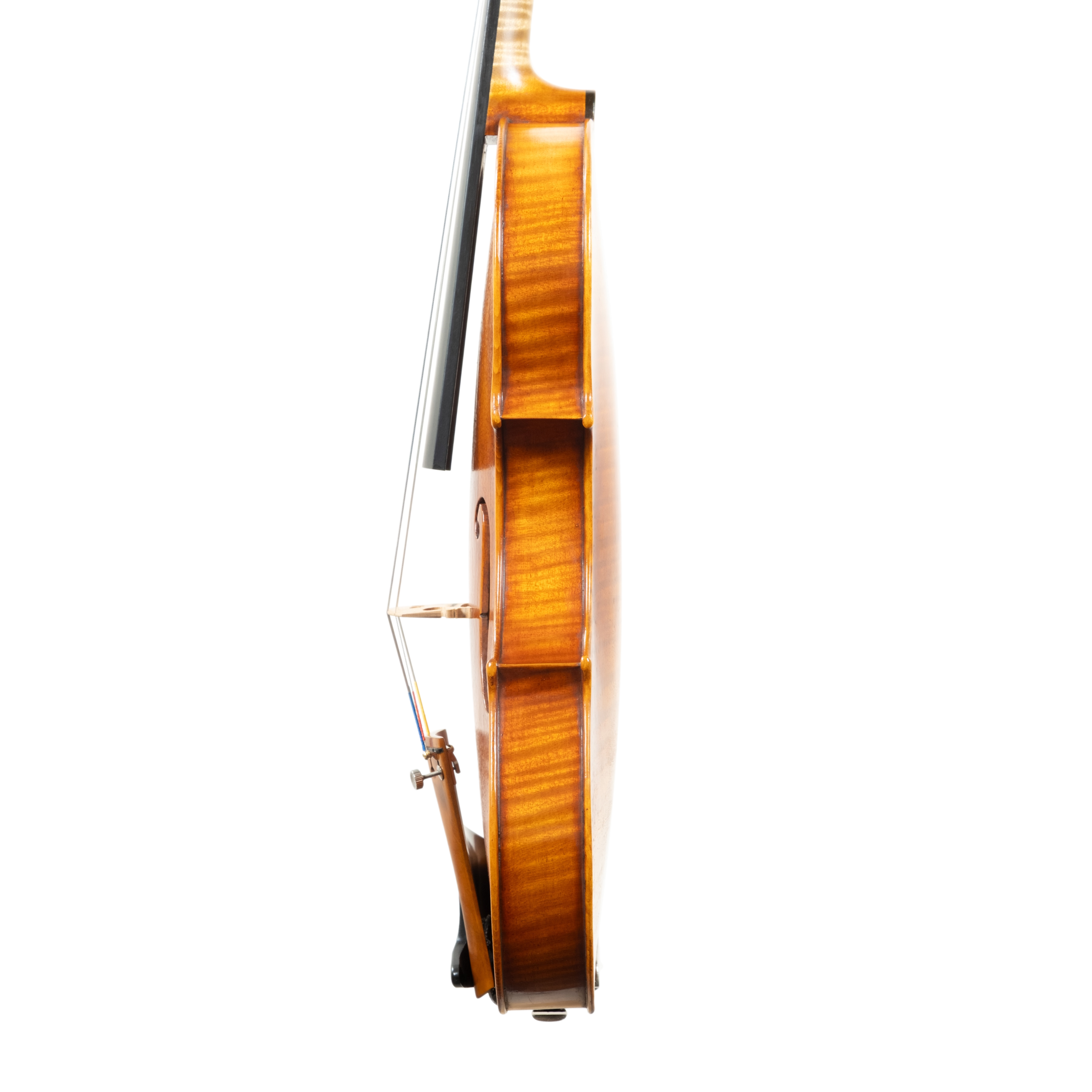 Violin - Mina Mazzolari, Guarneri del Gesú "Ole Bull", Cremona 2026