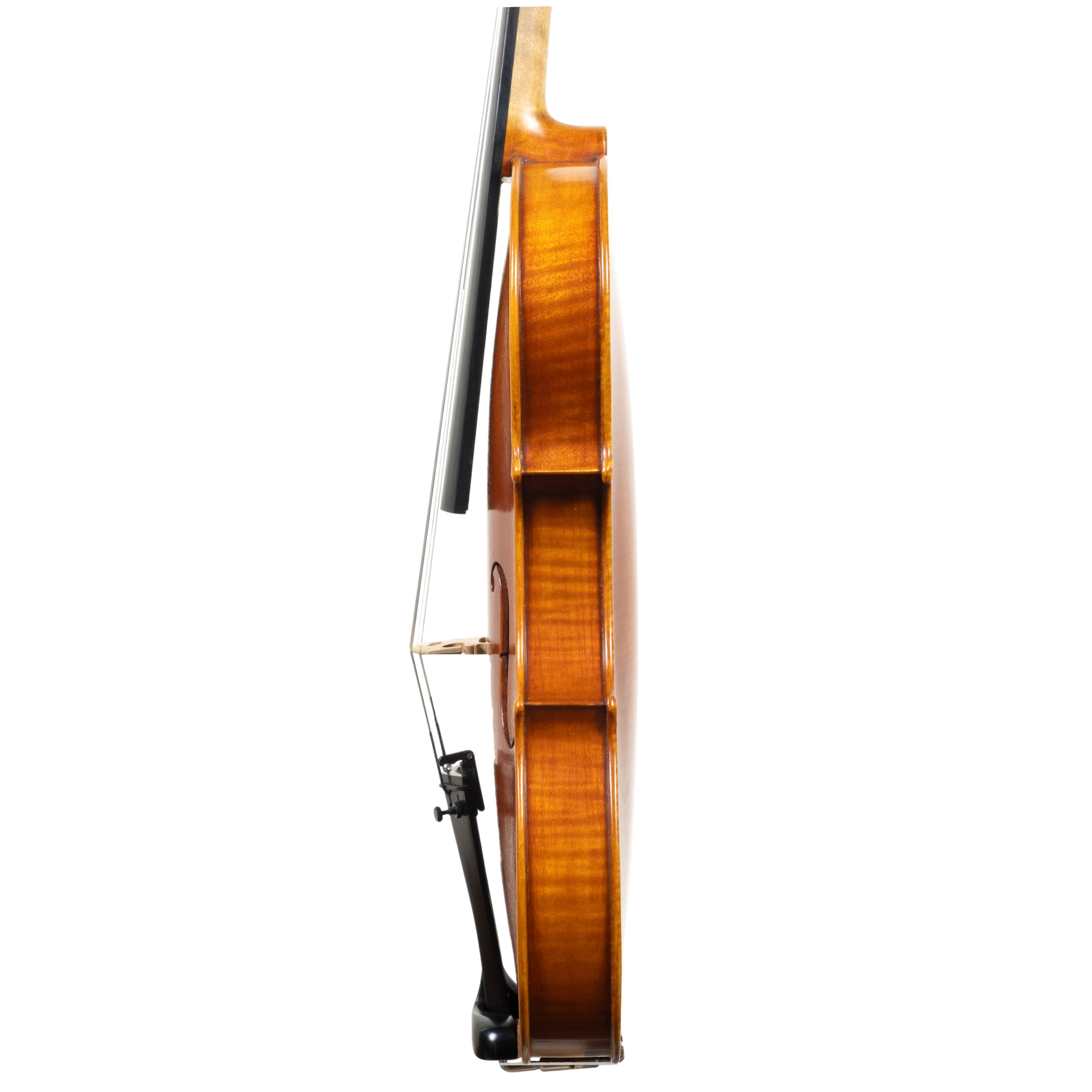 Violin - Arianna Endo, Stradivari "Il Cremonese", Cremona 2026