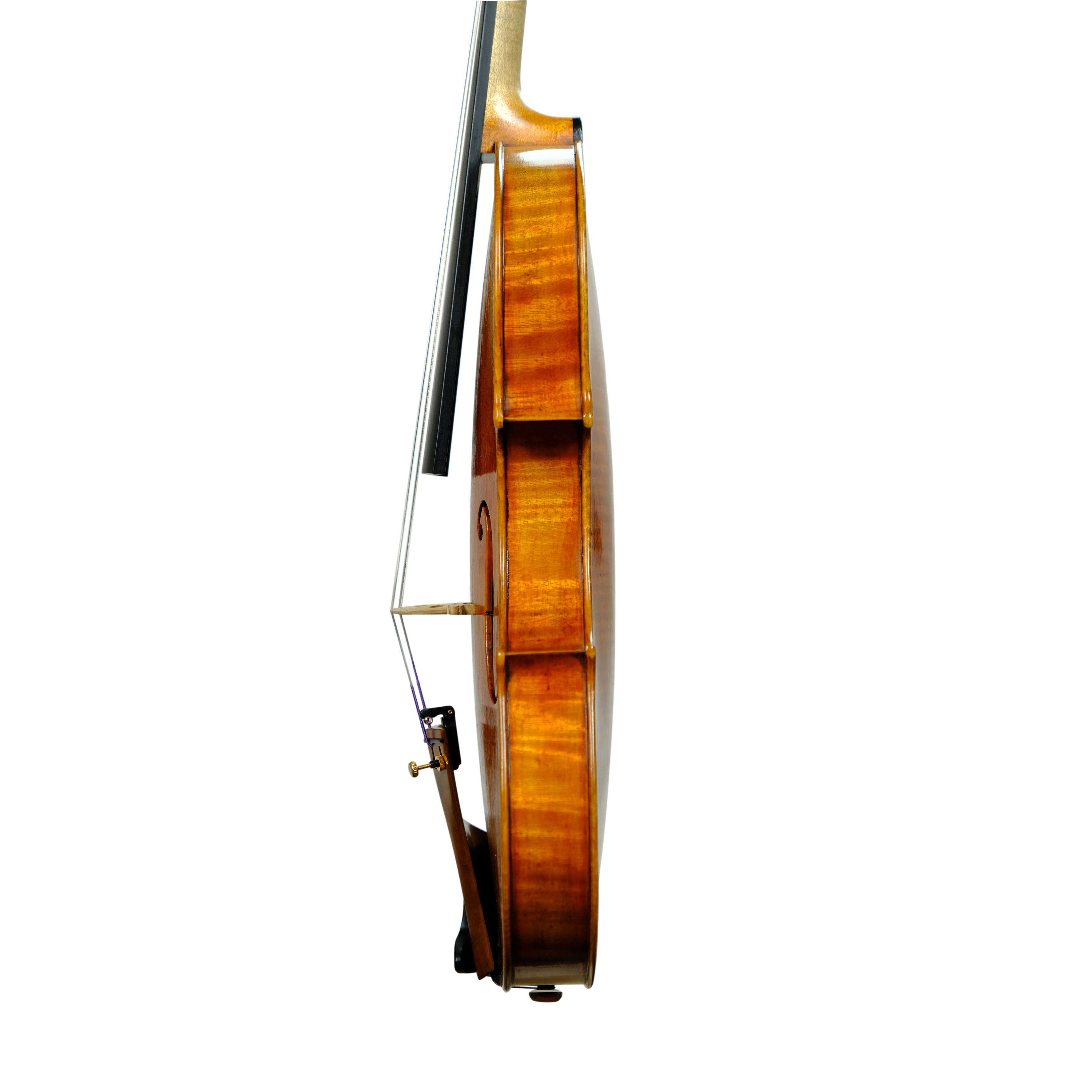 Violin - Mina Mazzolari, Guarneri del Gesú "Ole Bull", Cremona 2024