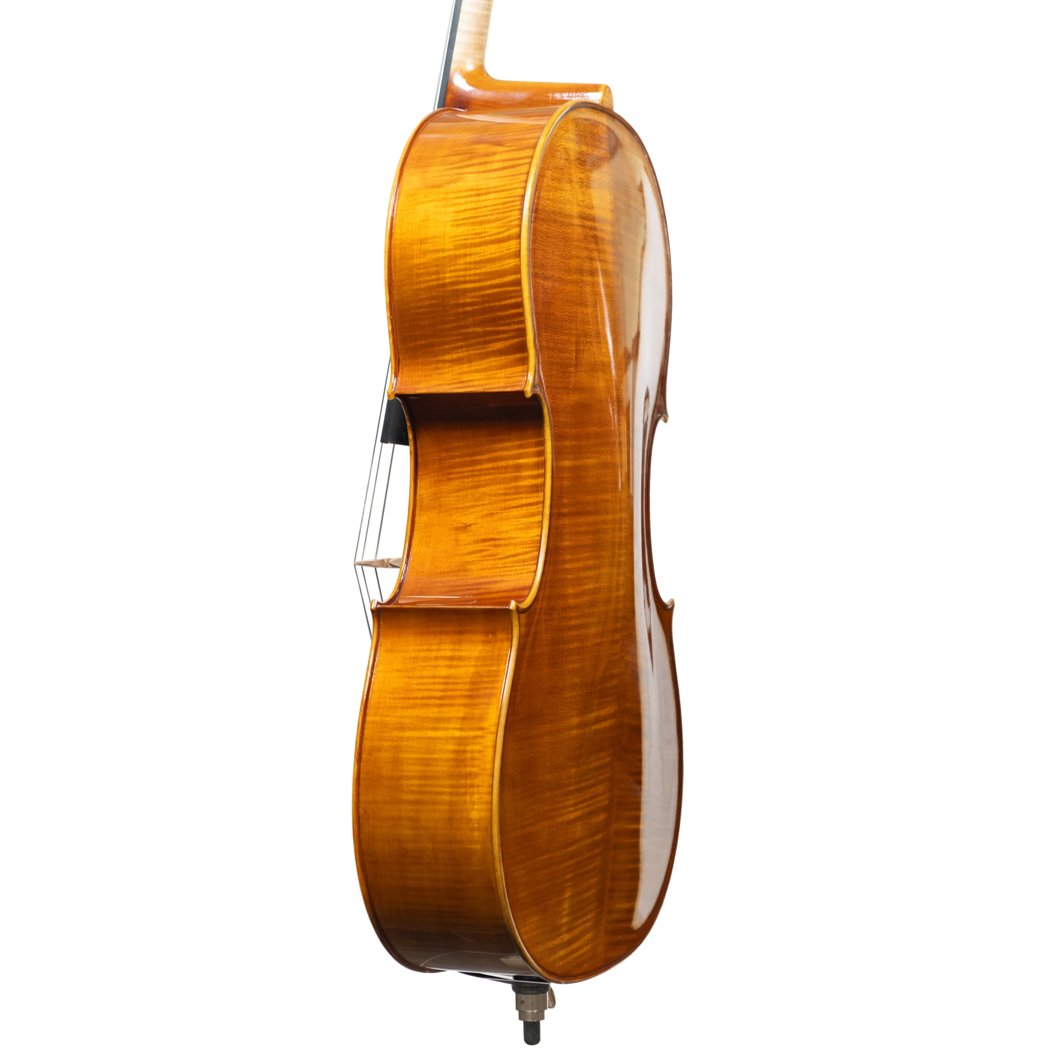 Cello - Scala Perfetta, Stradivari, Cremona 2025 "CEVEDALE"