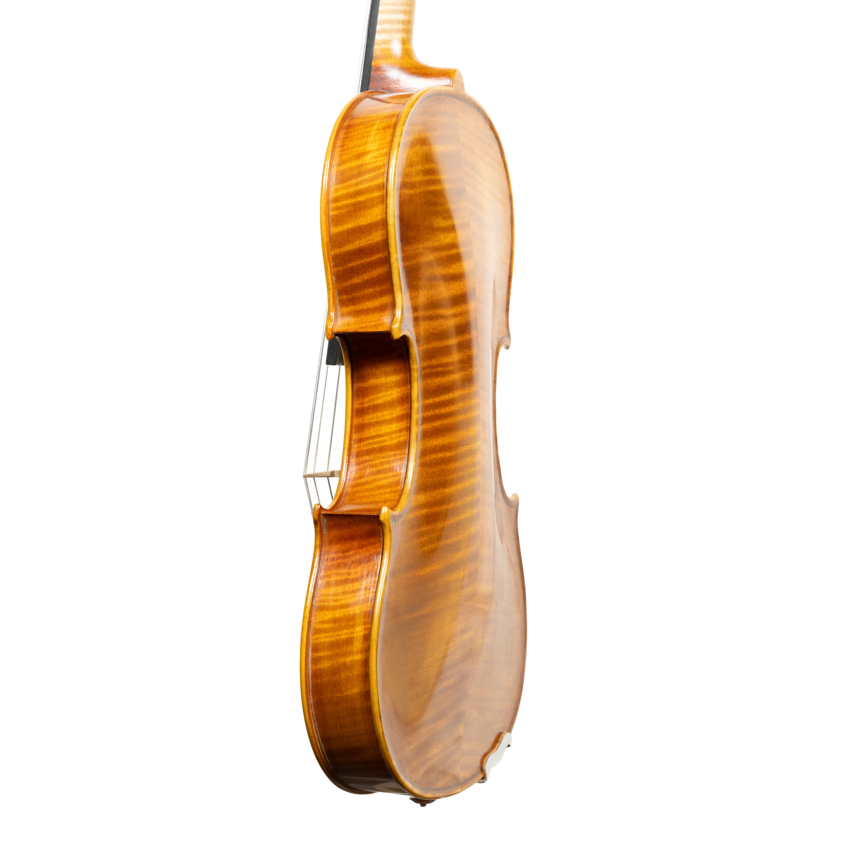 Violin - Linea Macchi, Stradivari Cremona 2025 B