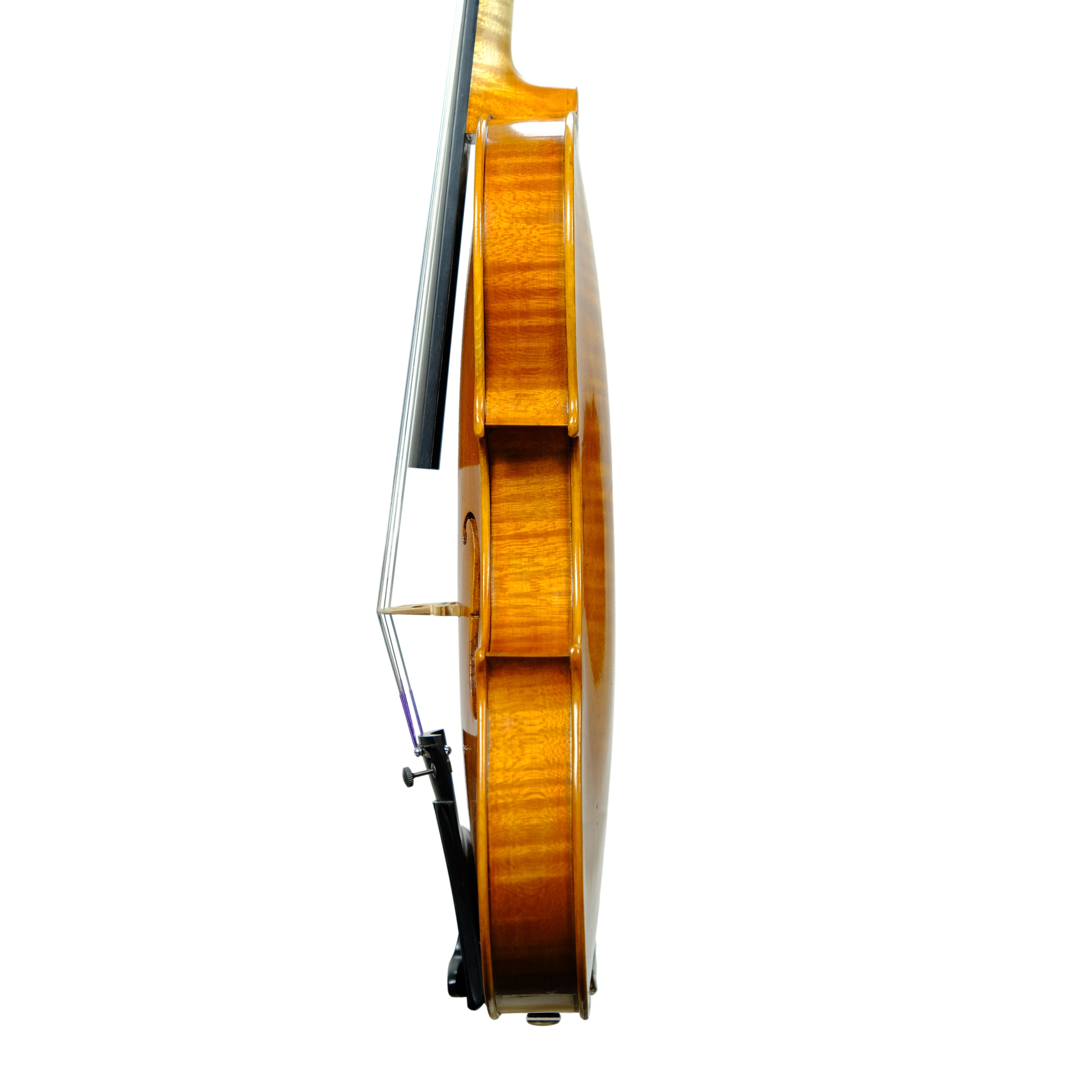 Violin - Marco Dotti, copy of Carlo Antonio Testore, Cremona 2024