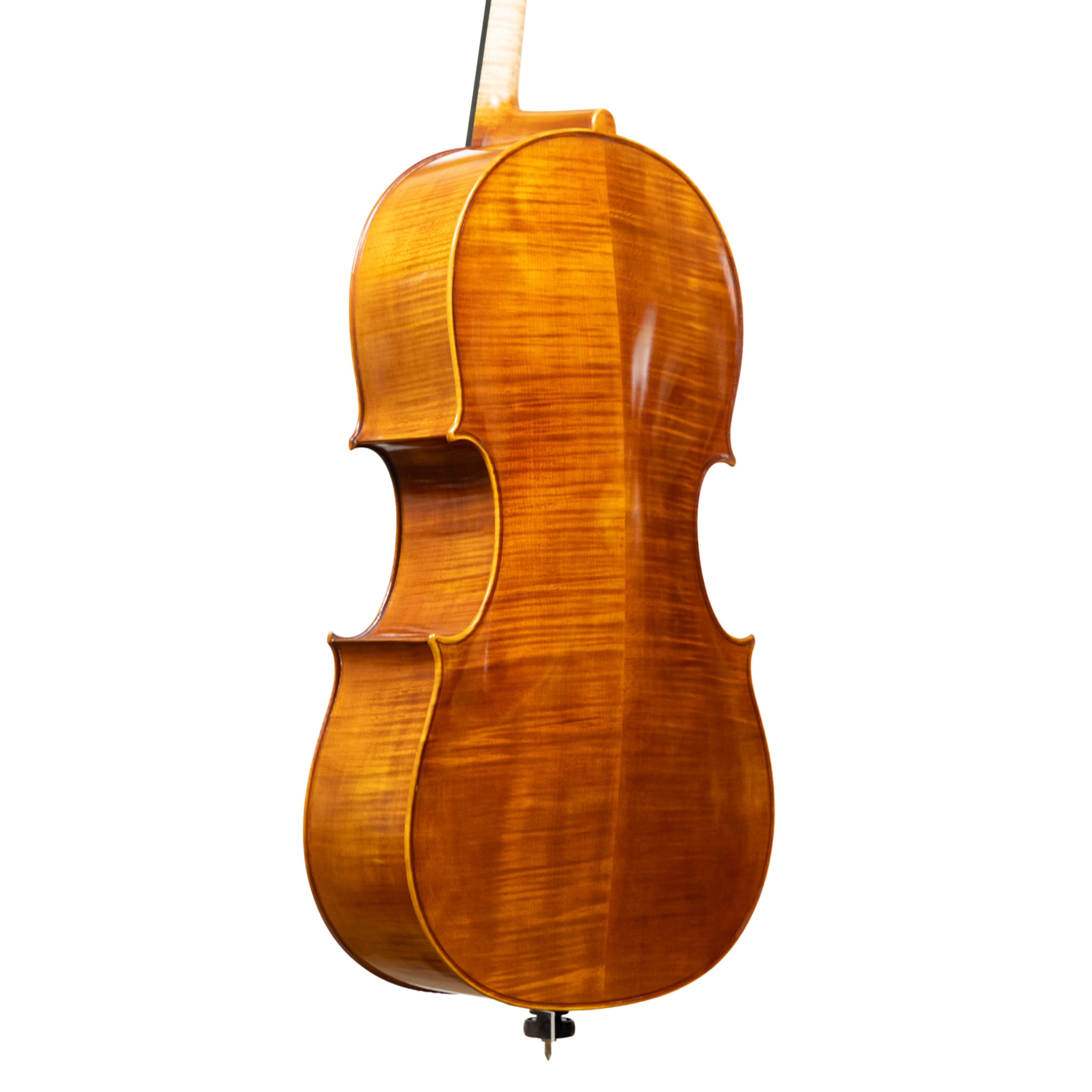 Cello - Linea Macchi, Domenico Montagnana "Sleeping Beauty", Cremona 2026