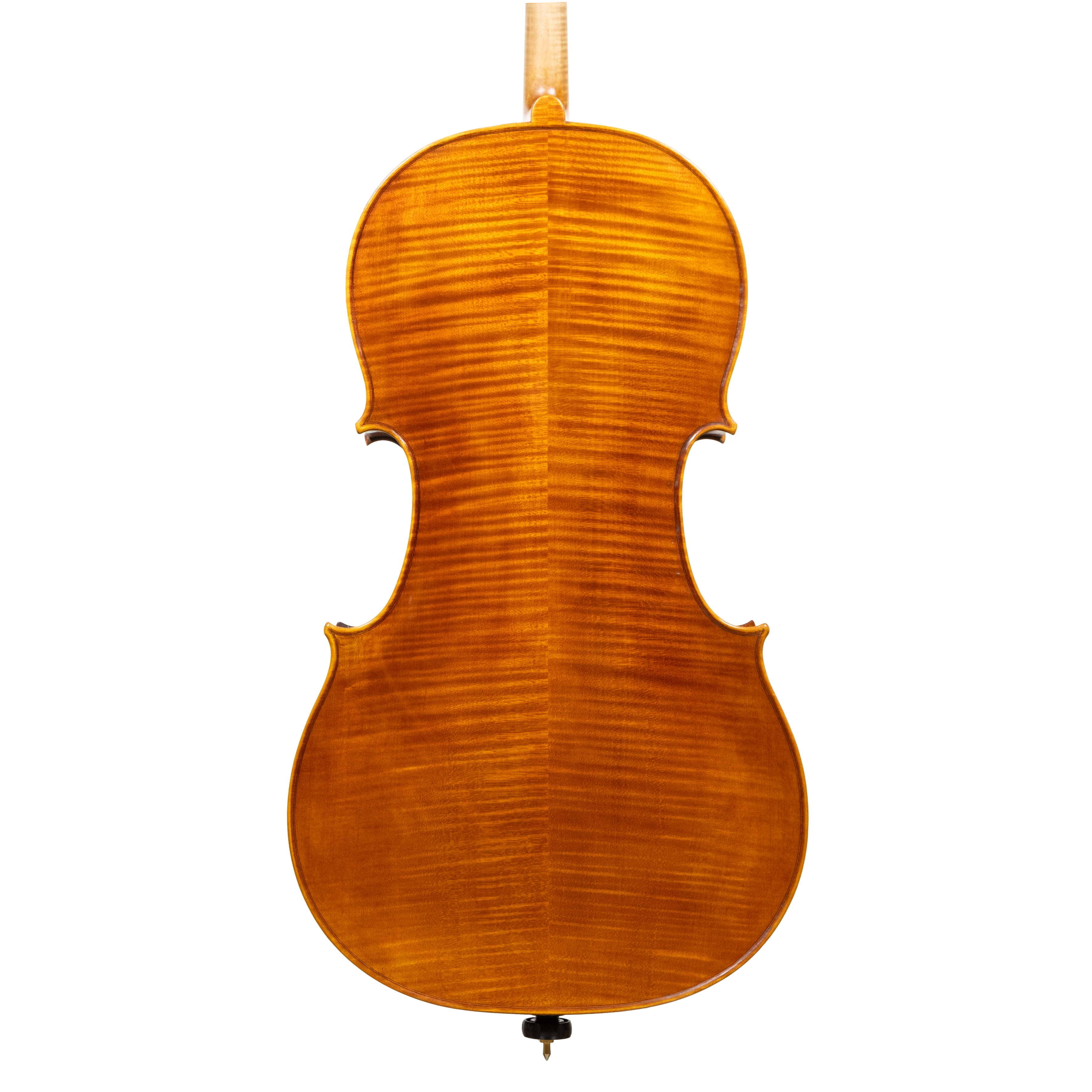 Cello - Linea Macchi, Stradivari "Gore Booth", Cremona 2026