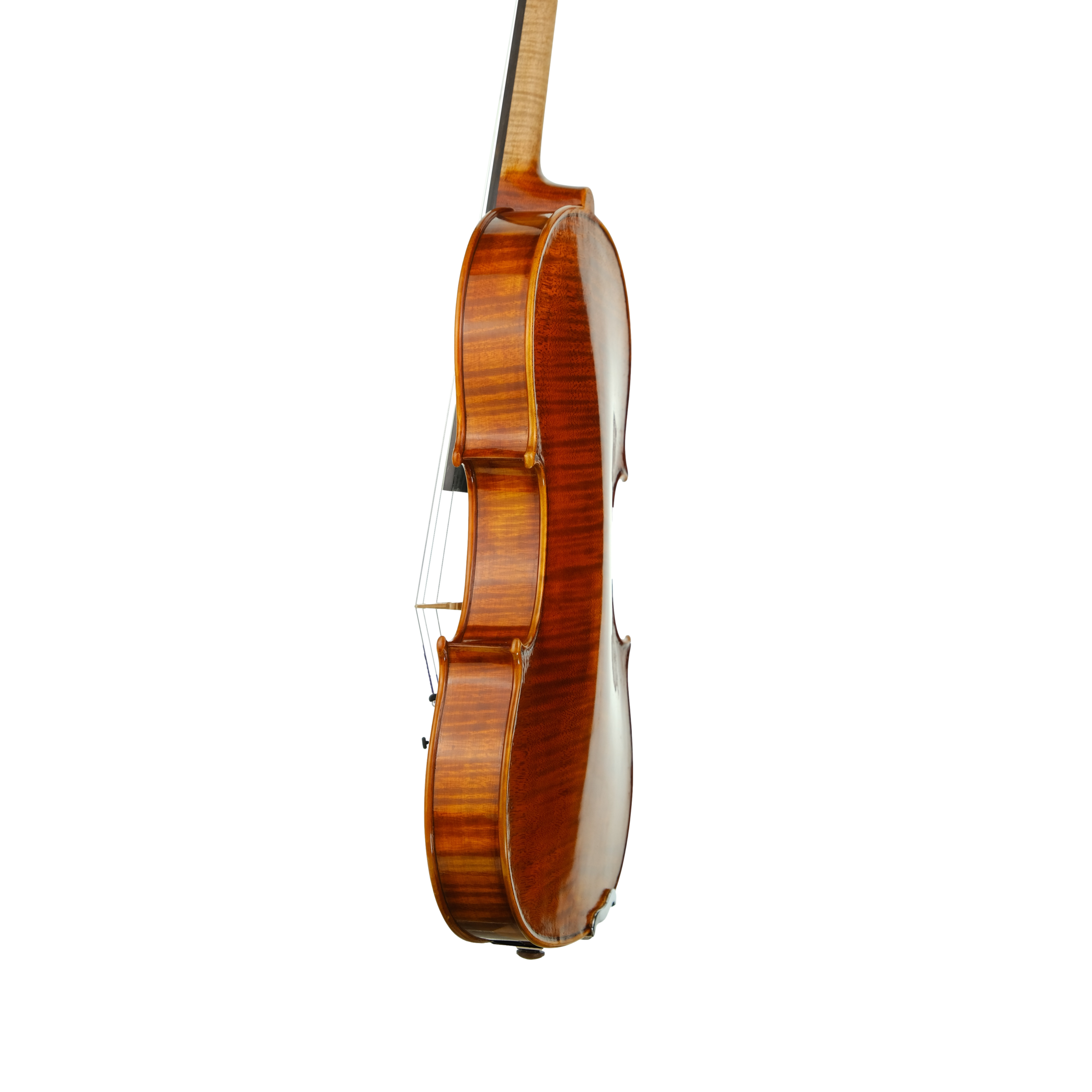 Violin - Linea Macchi, Stradivari 2022 3