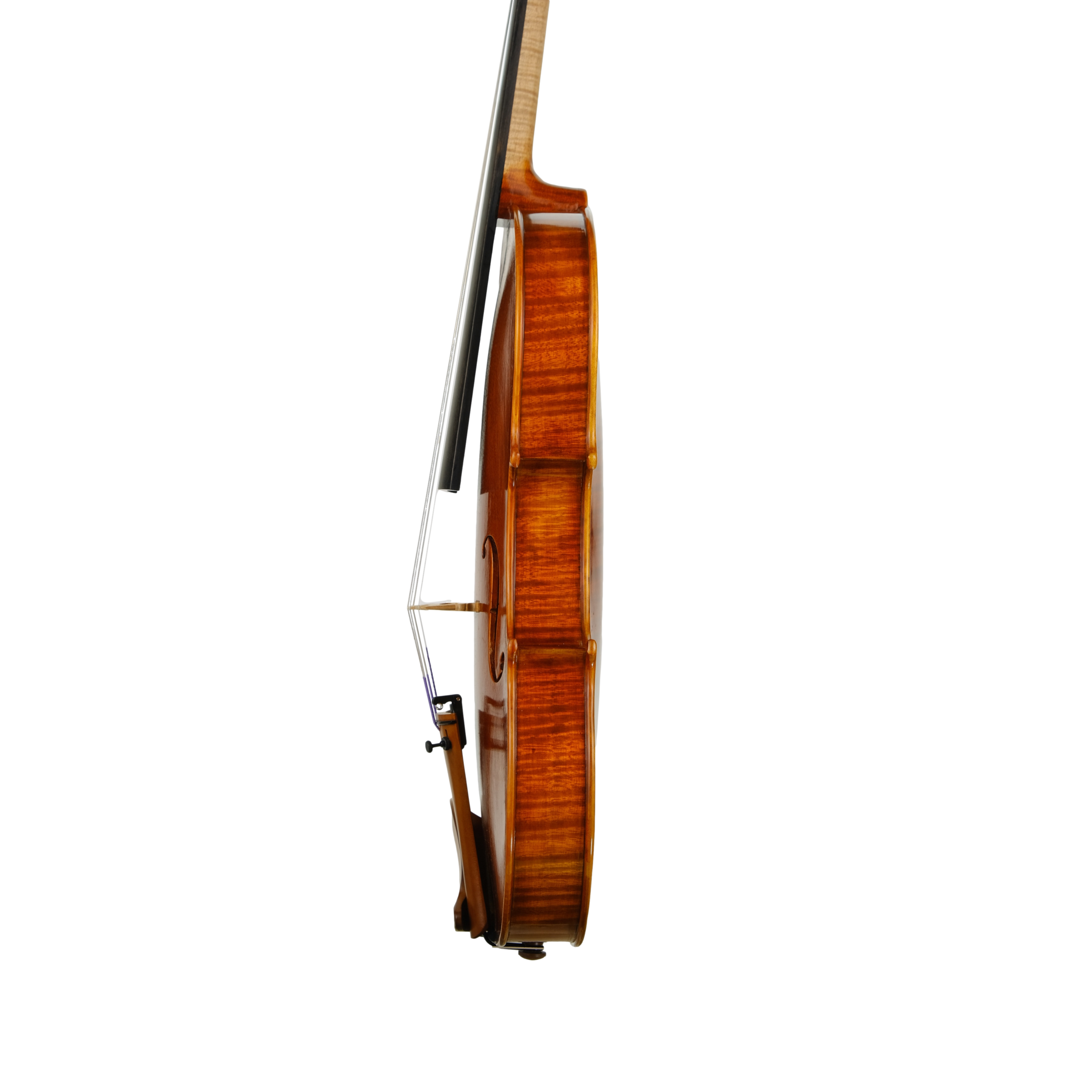 Violin - Linea Macchi, Stradivari 2022 3