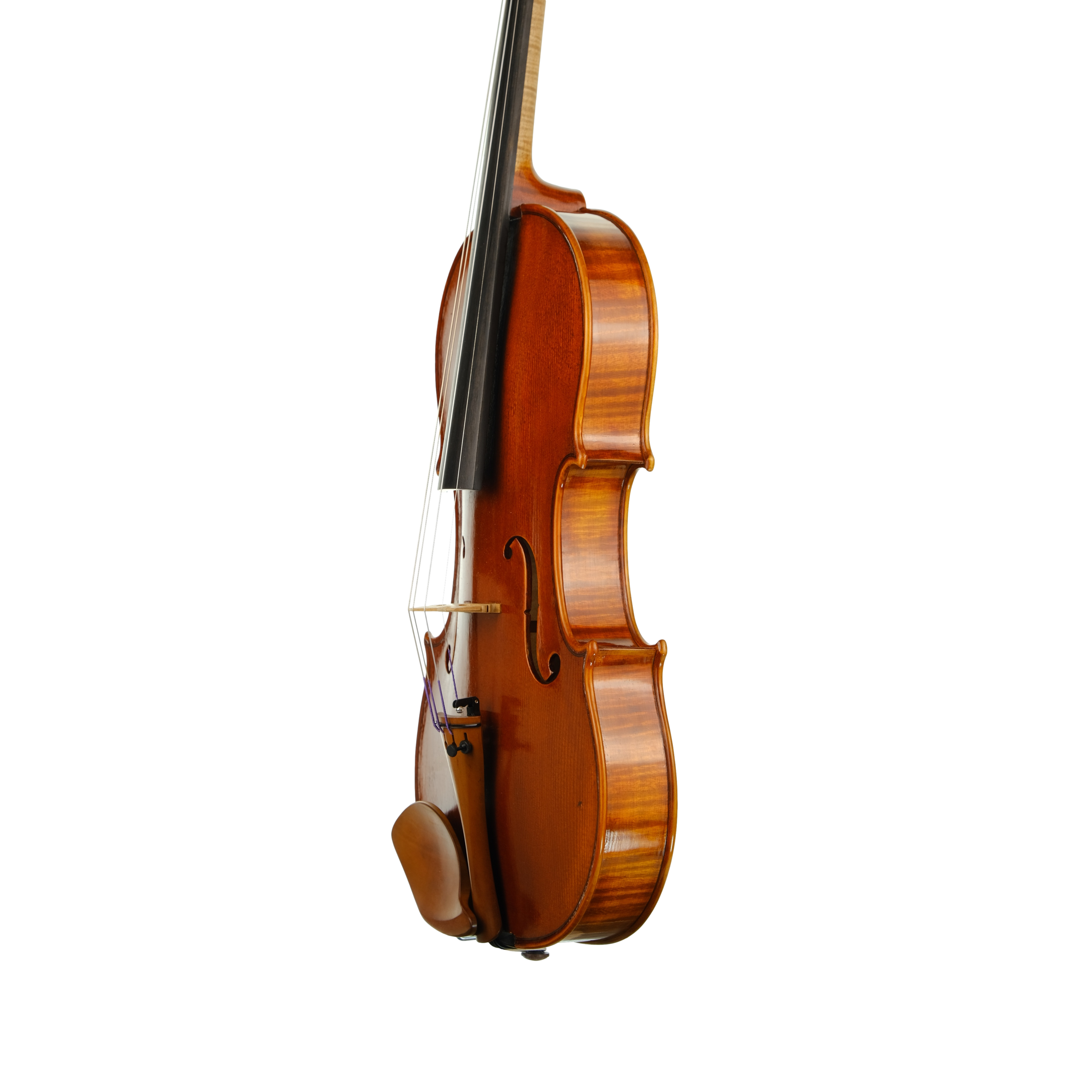 Violin - Linea Macchi, Stradivari 2022 3