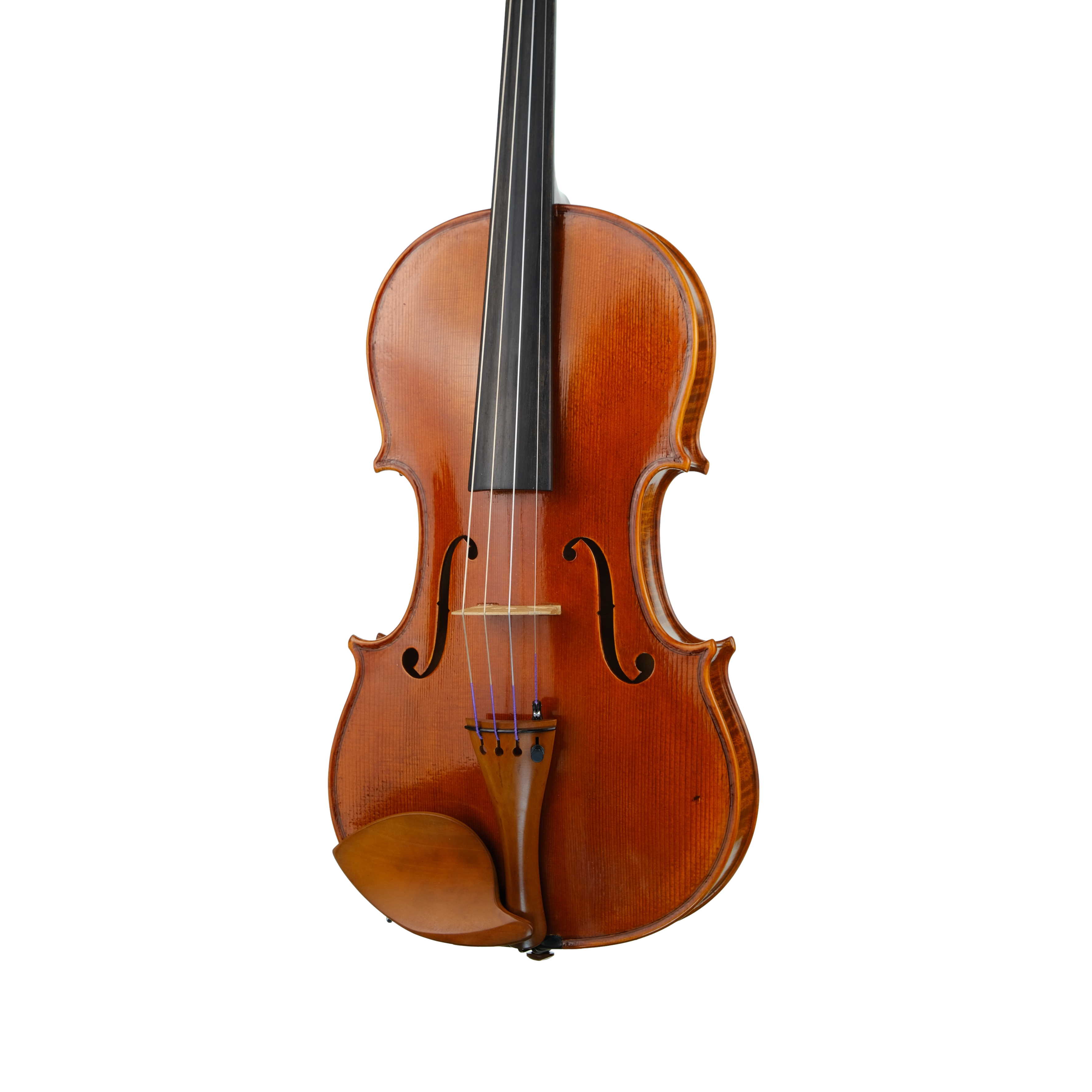 Violin - Linea Macchi, Stradivari 2022 3