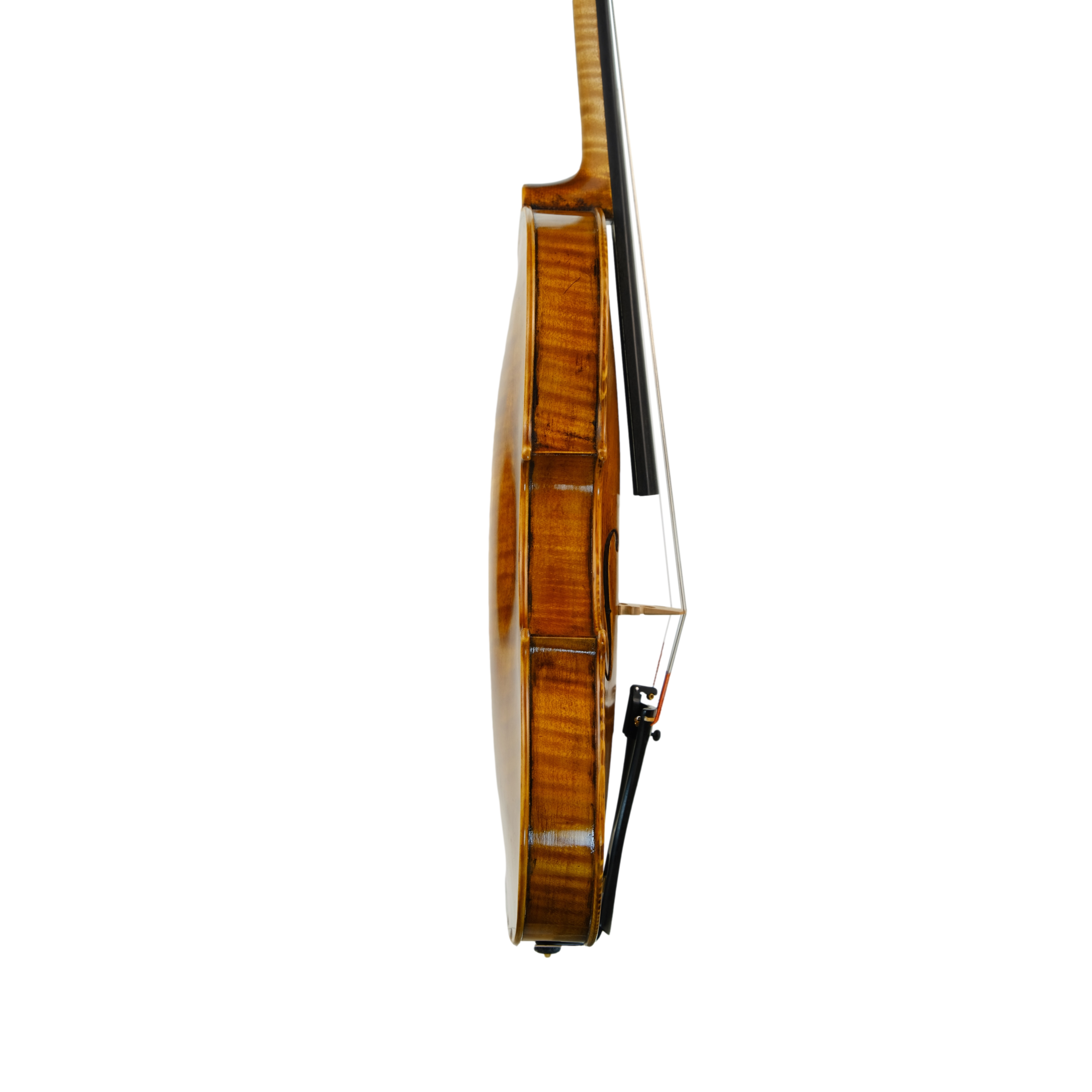 Violin - Michele Mattone, Cremona 2022