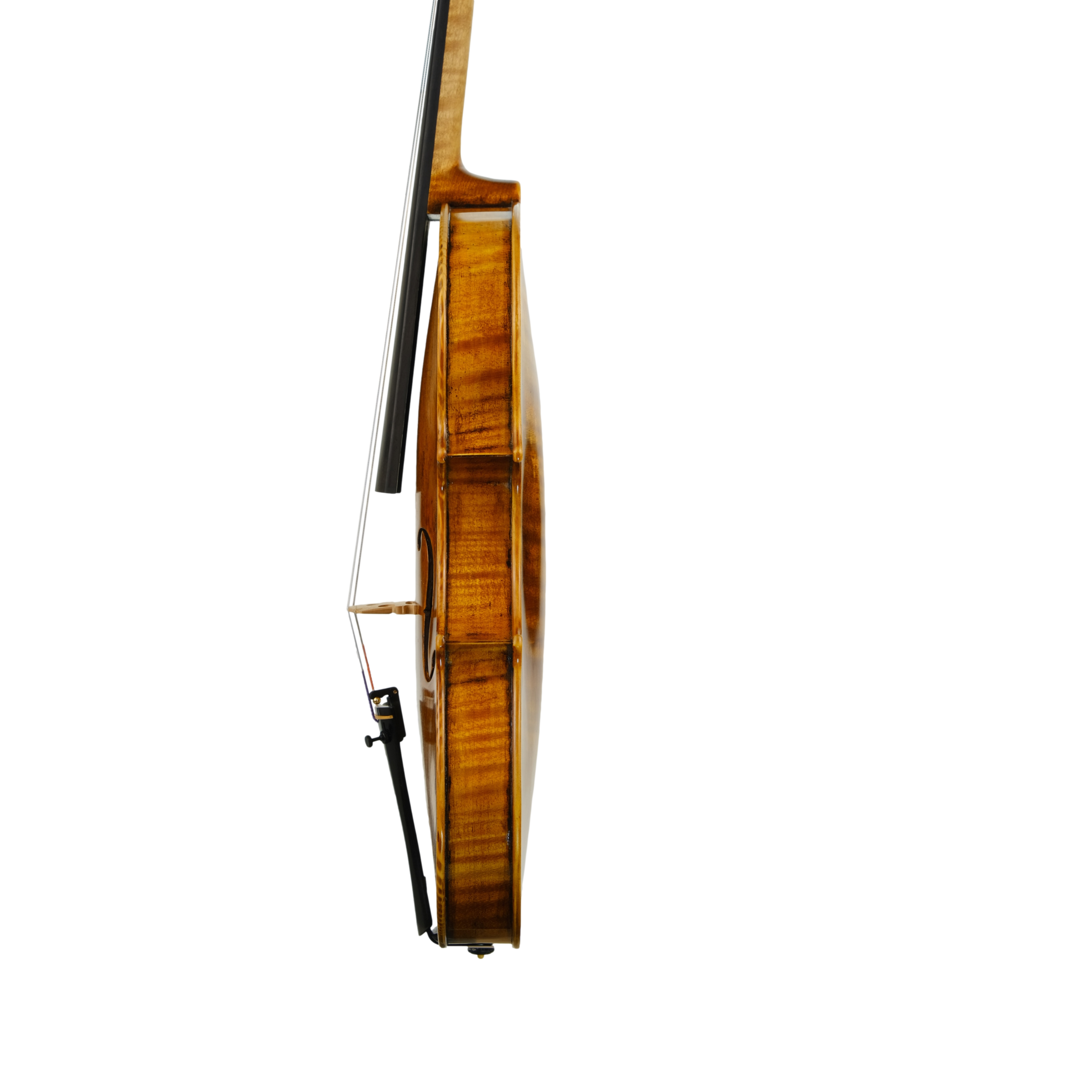 Violin - Michele Mattone, Cremona 2022