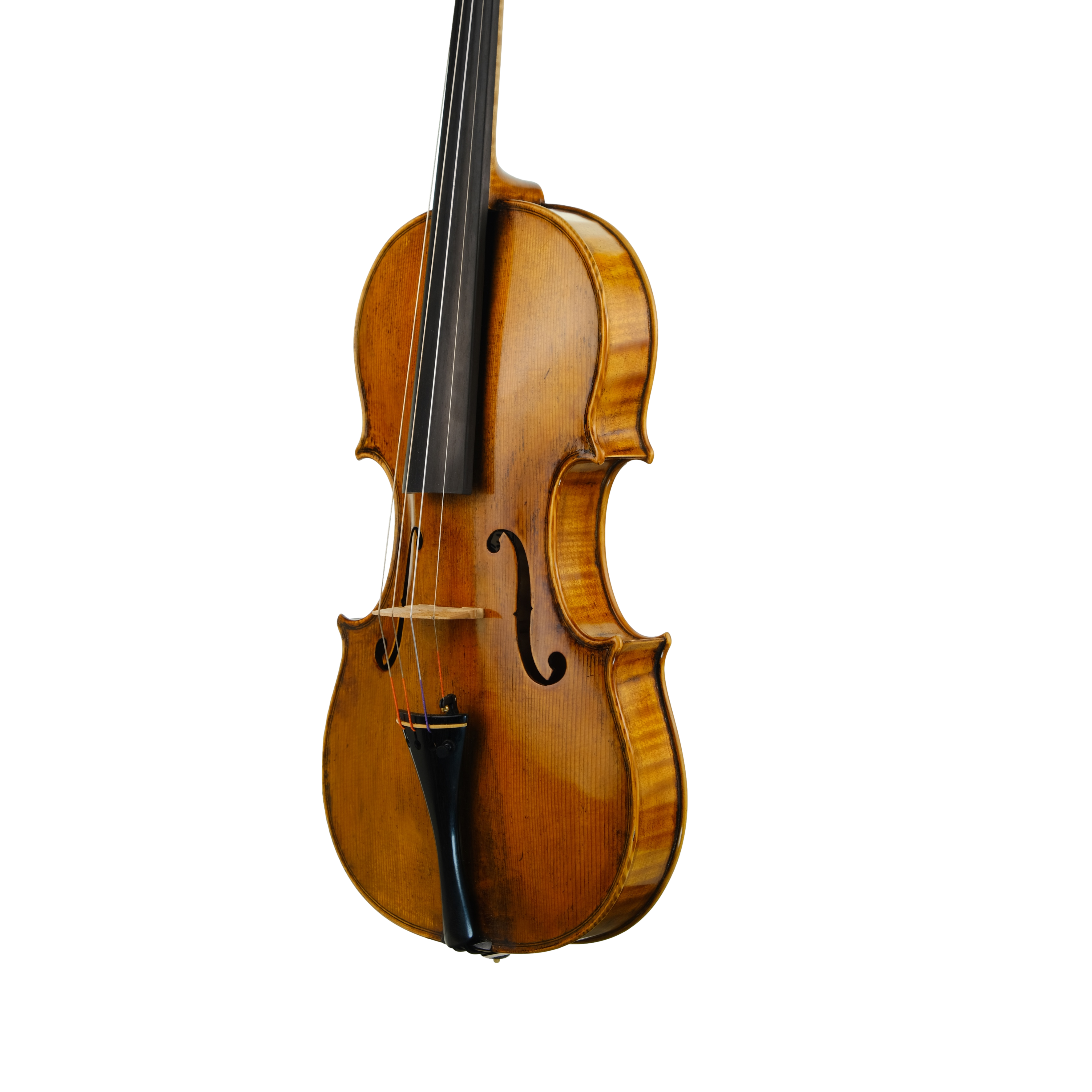 Violin - Michele Mattone, Cremona 2022