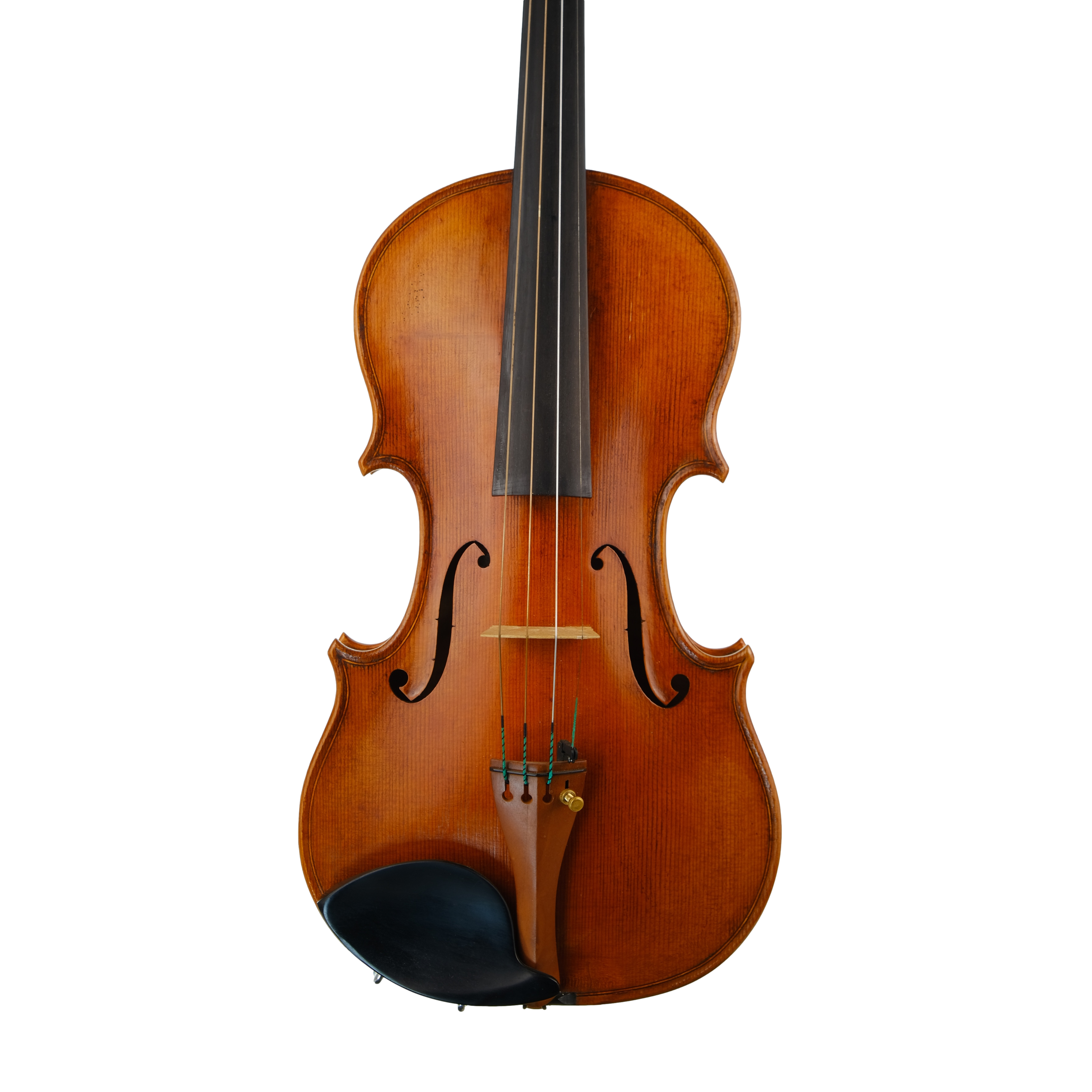 Violin - Fabrizio Fornara, Cremona 2016, 2