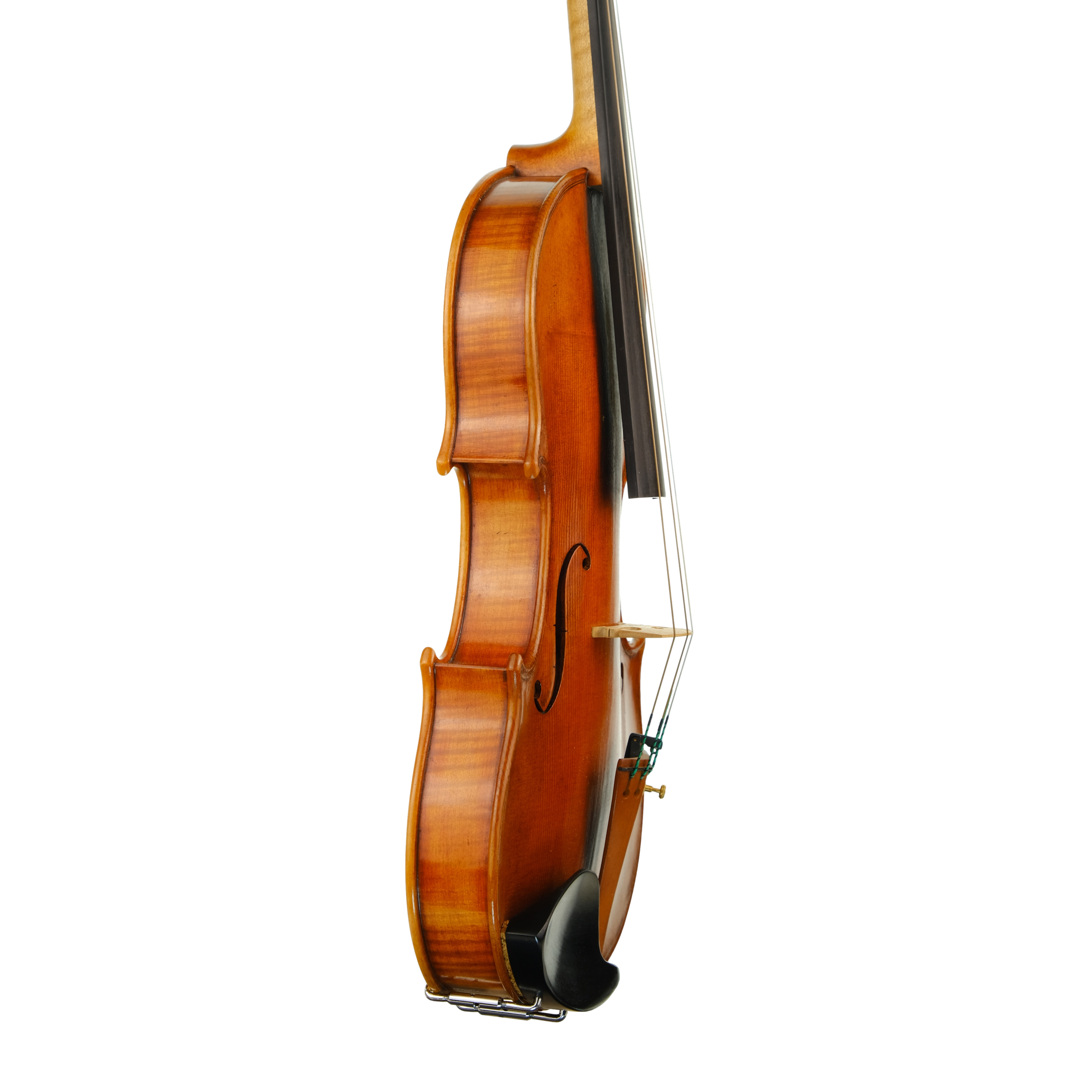 Violin - Fabrizio Fornara, Cremona 2016, 2