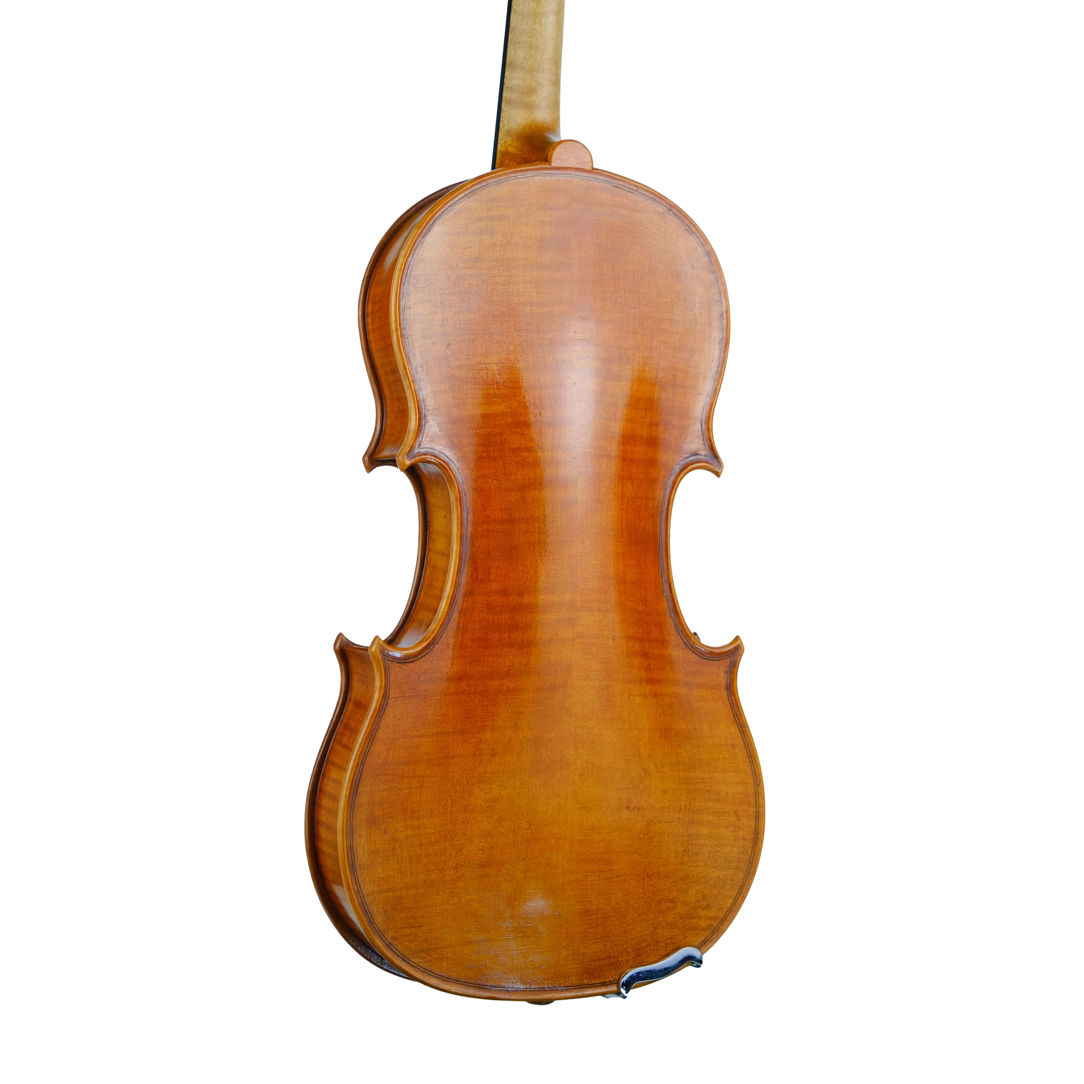 Violin - Fabrizio Fornara, Cremona 2016, 2
