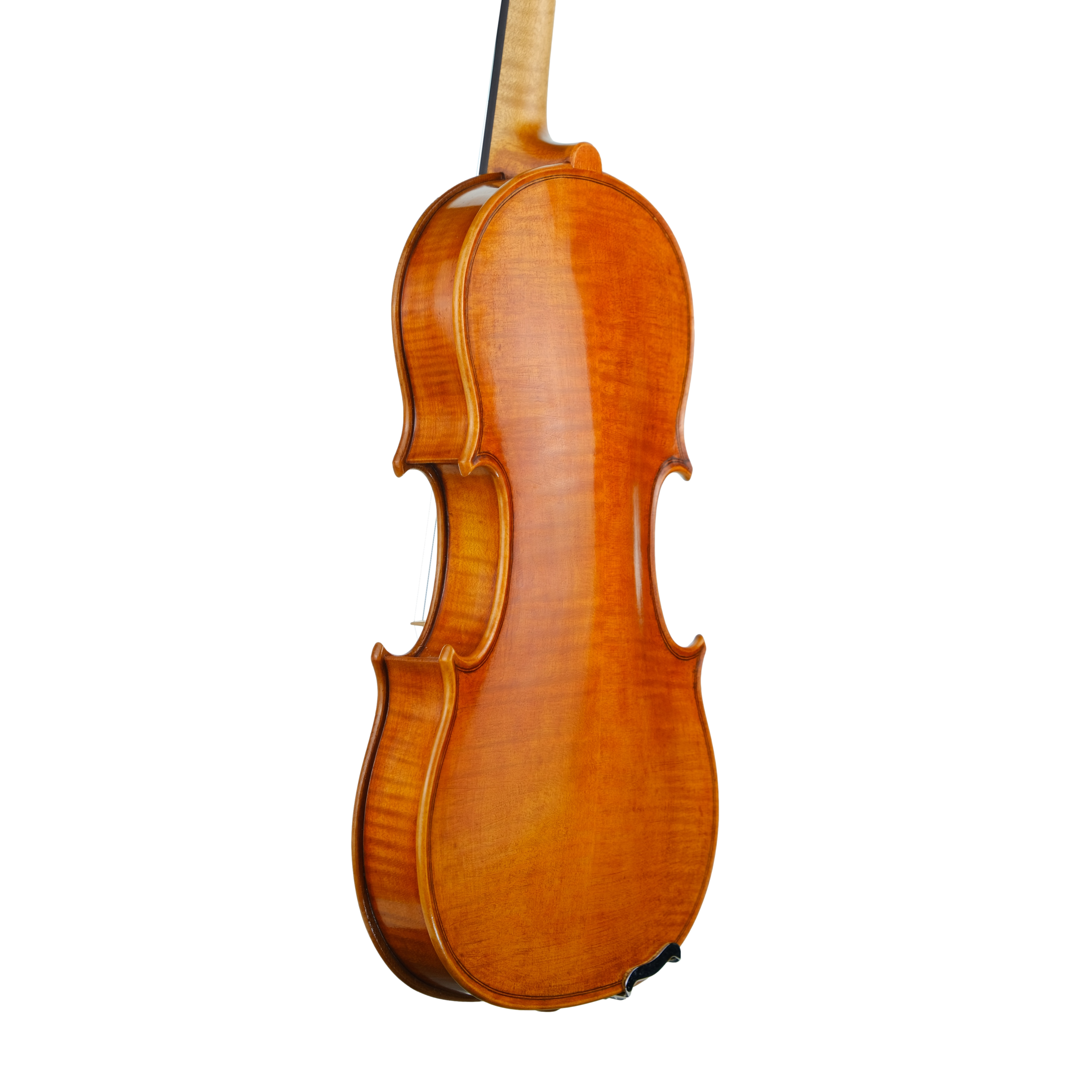 Violin - Fabrizio Fornara, Cremona 2016, 2