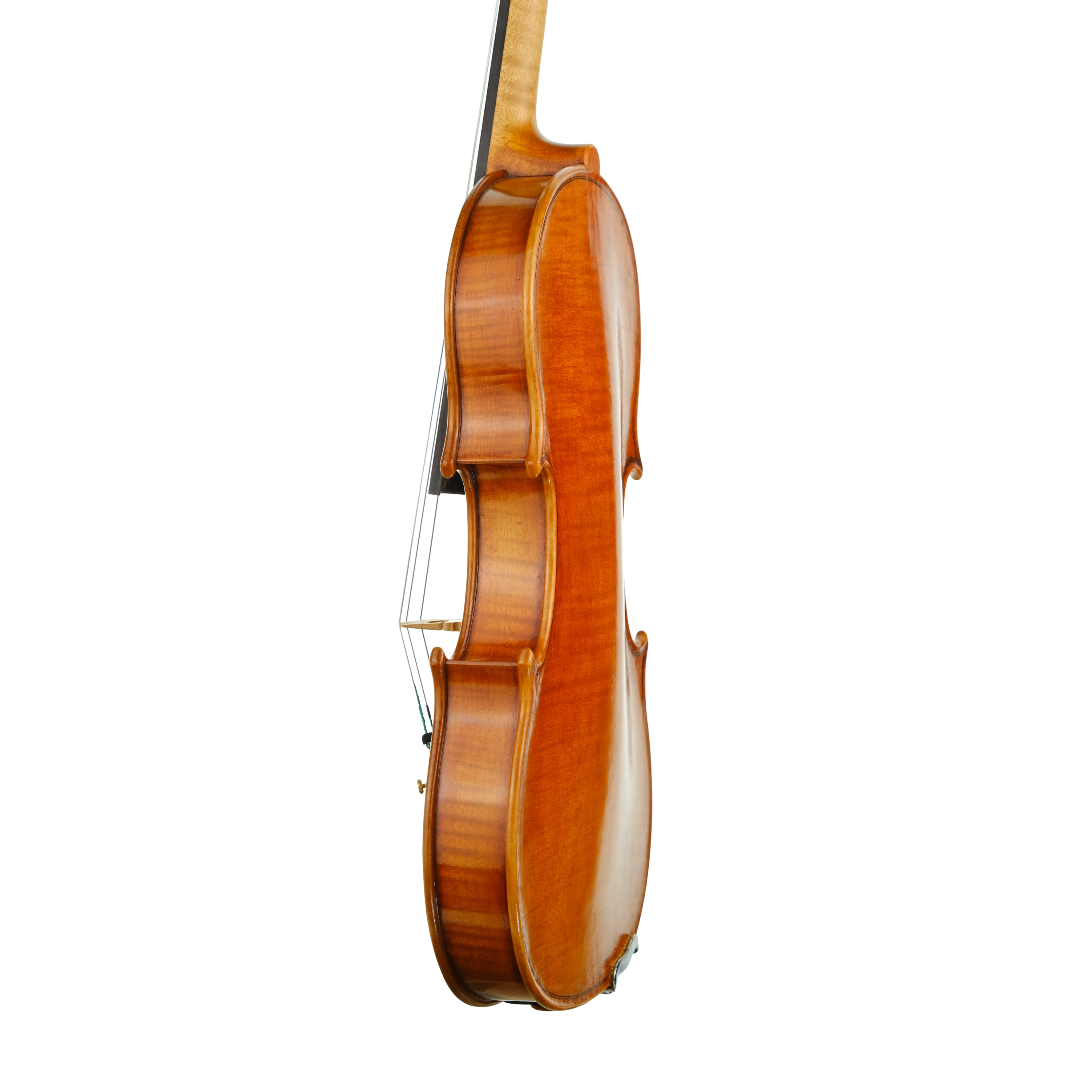 Violin - Fabrizio Fornara, Cremona 2016, 2