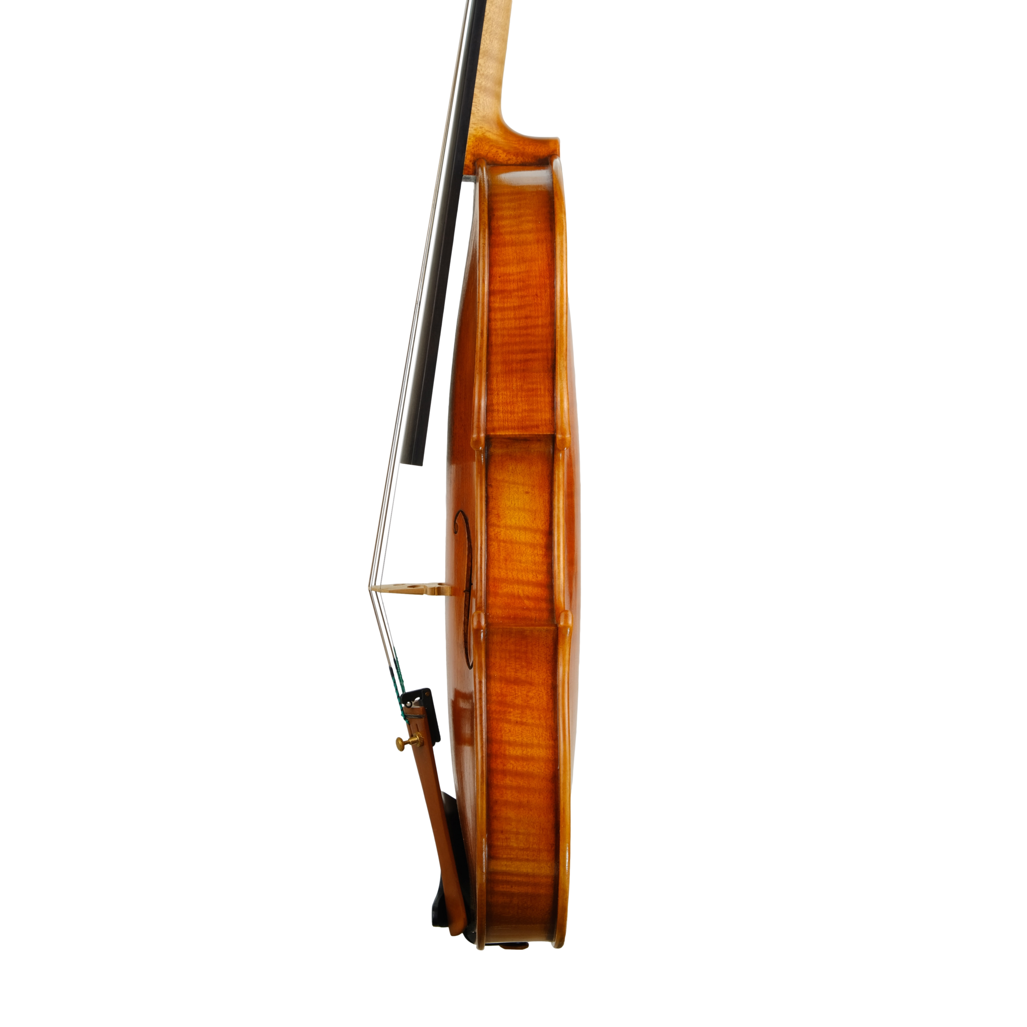 Violin - Fabrizio Fornara, Cremona 2016, 2