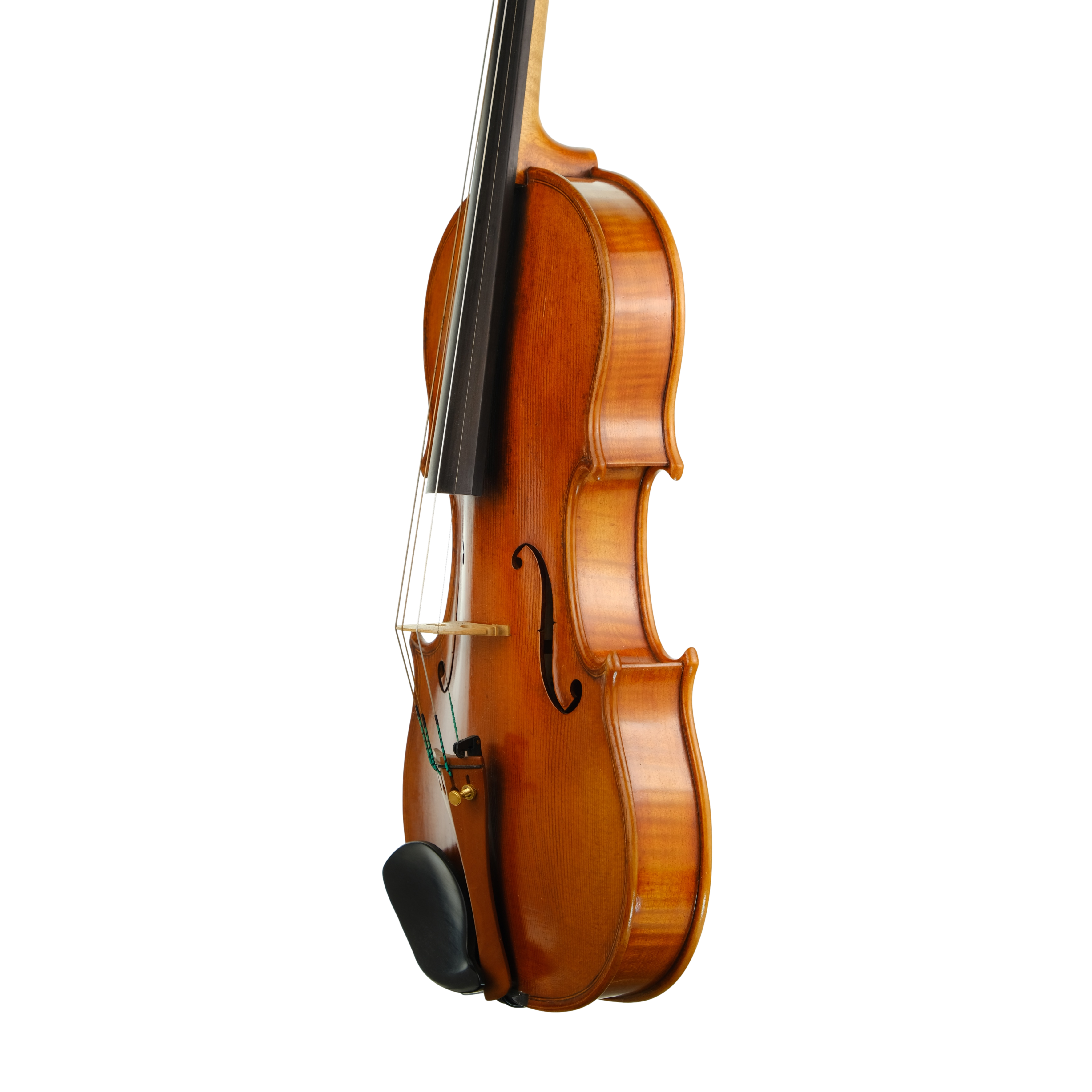 Violin - Fabrizio Fornara, Cremona 2016, 2