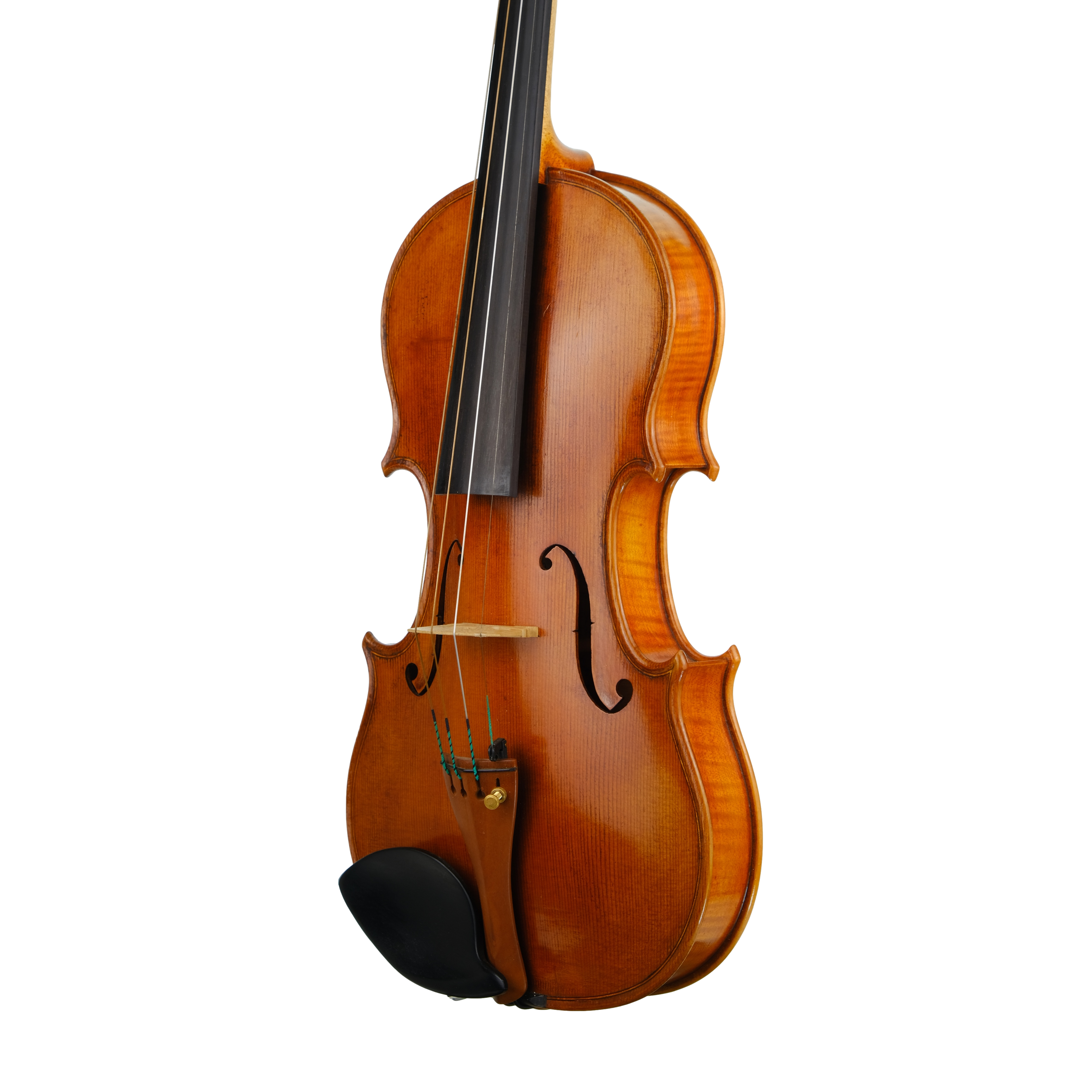 Violin - Fabrizio Fornara, Cremona 2016, 2