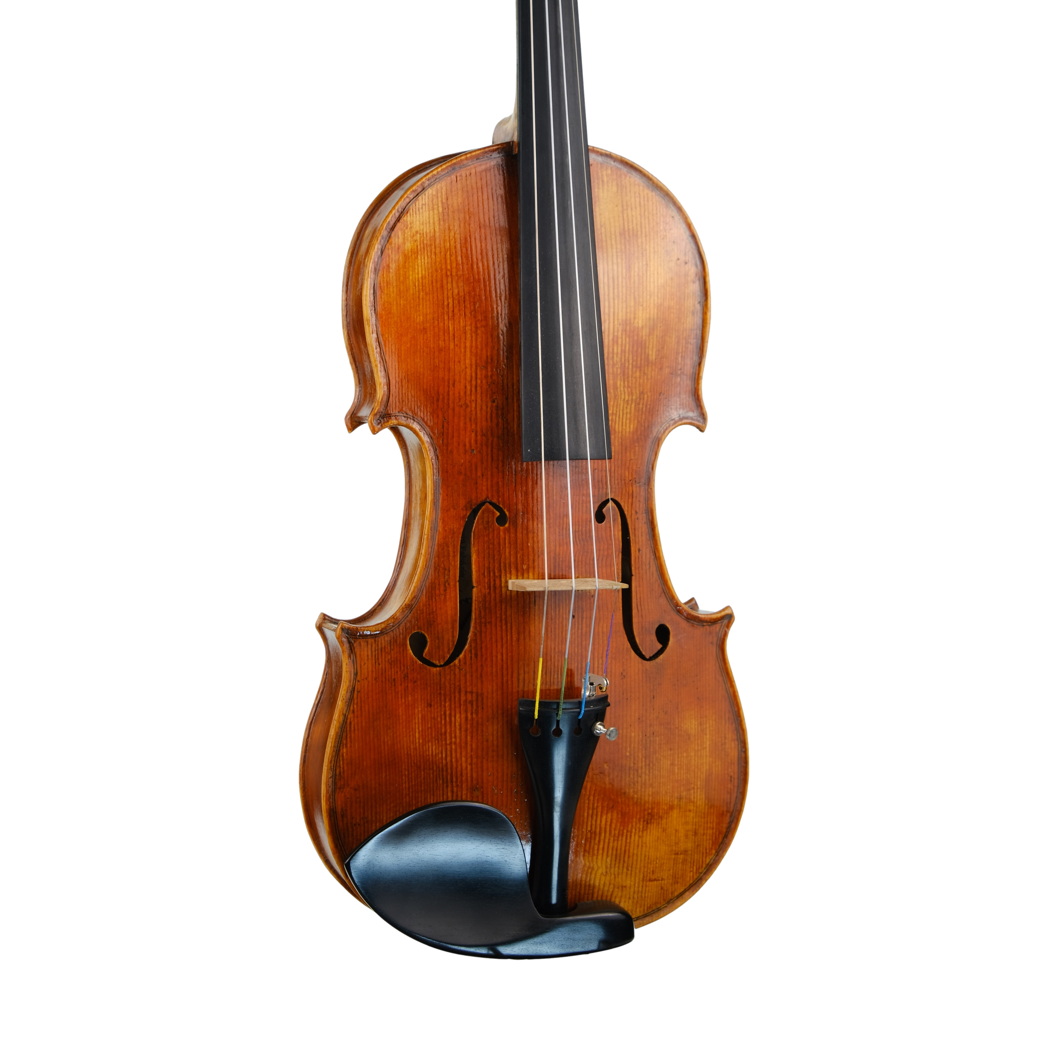 Violin - Fabrizio Fornara, Cremona 2016, 1