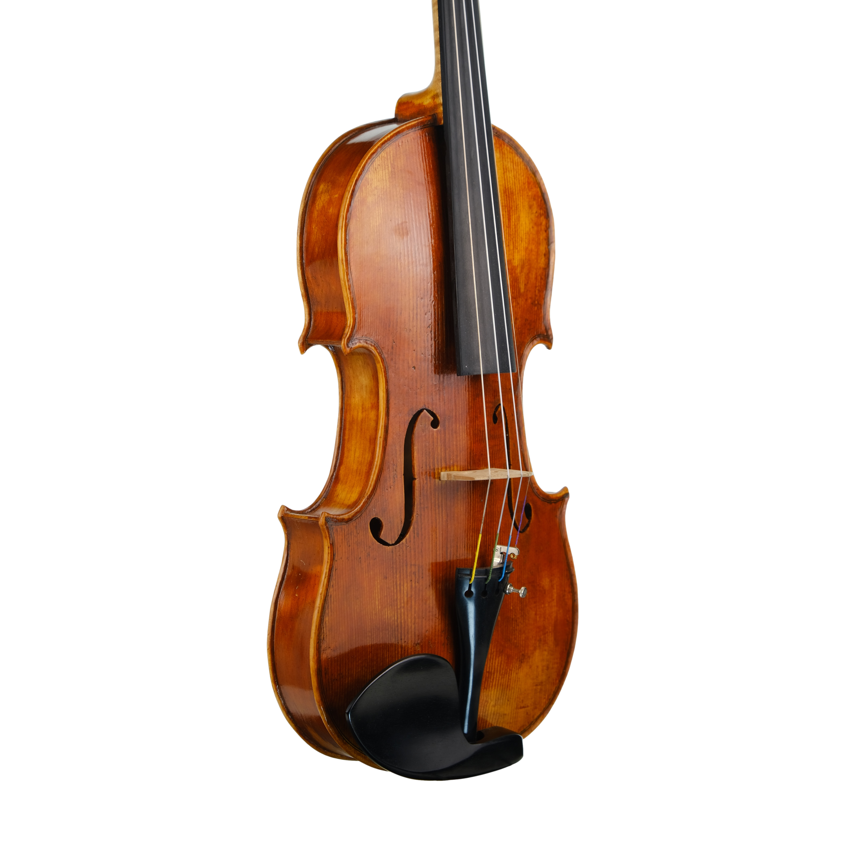 Violin - Fabrizio Fornara, Cremona 2016, 1