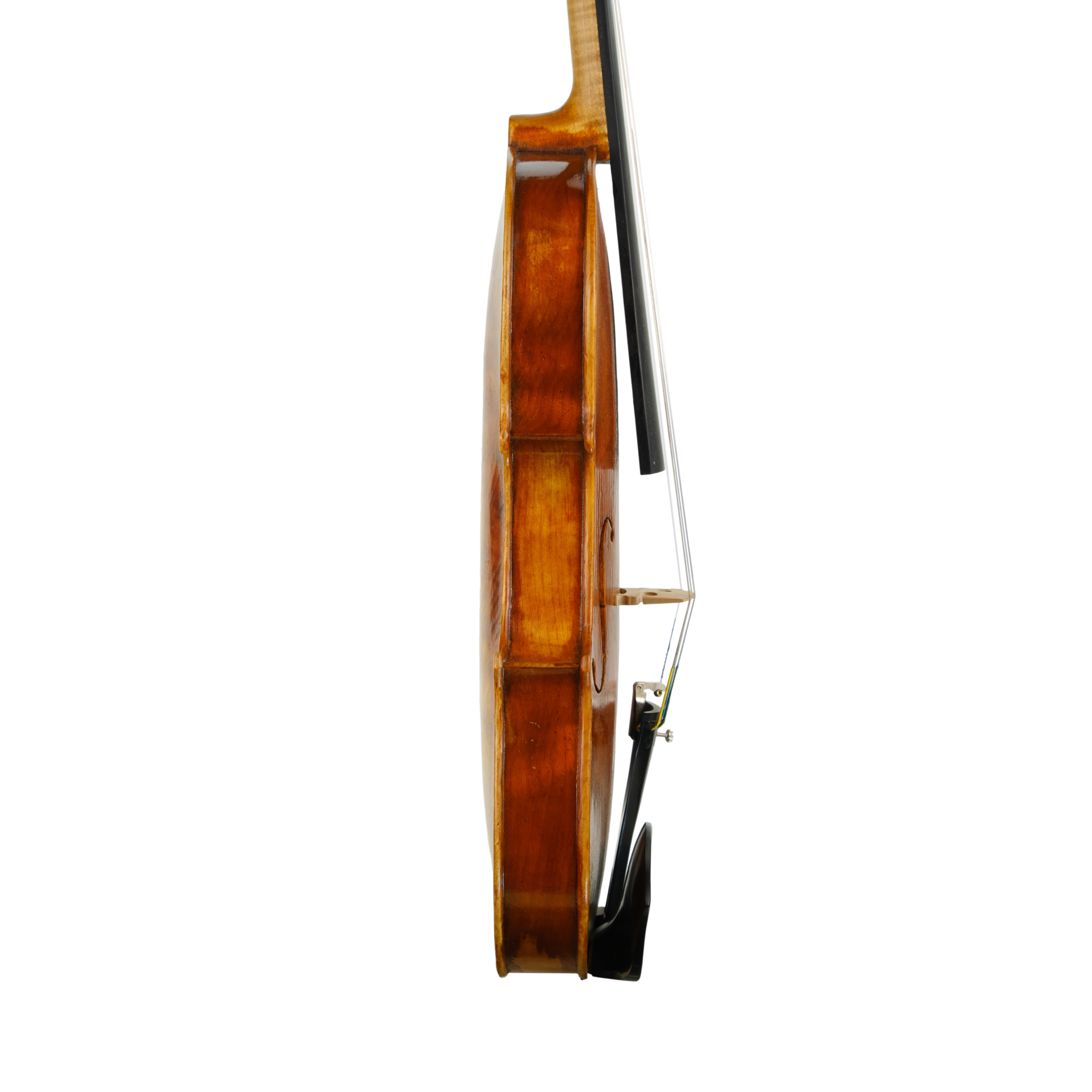 Violin - Fabrizio Fornara, Cremona 2016, 1