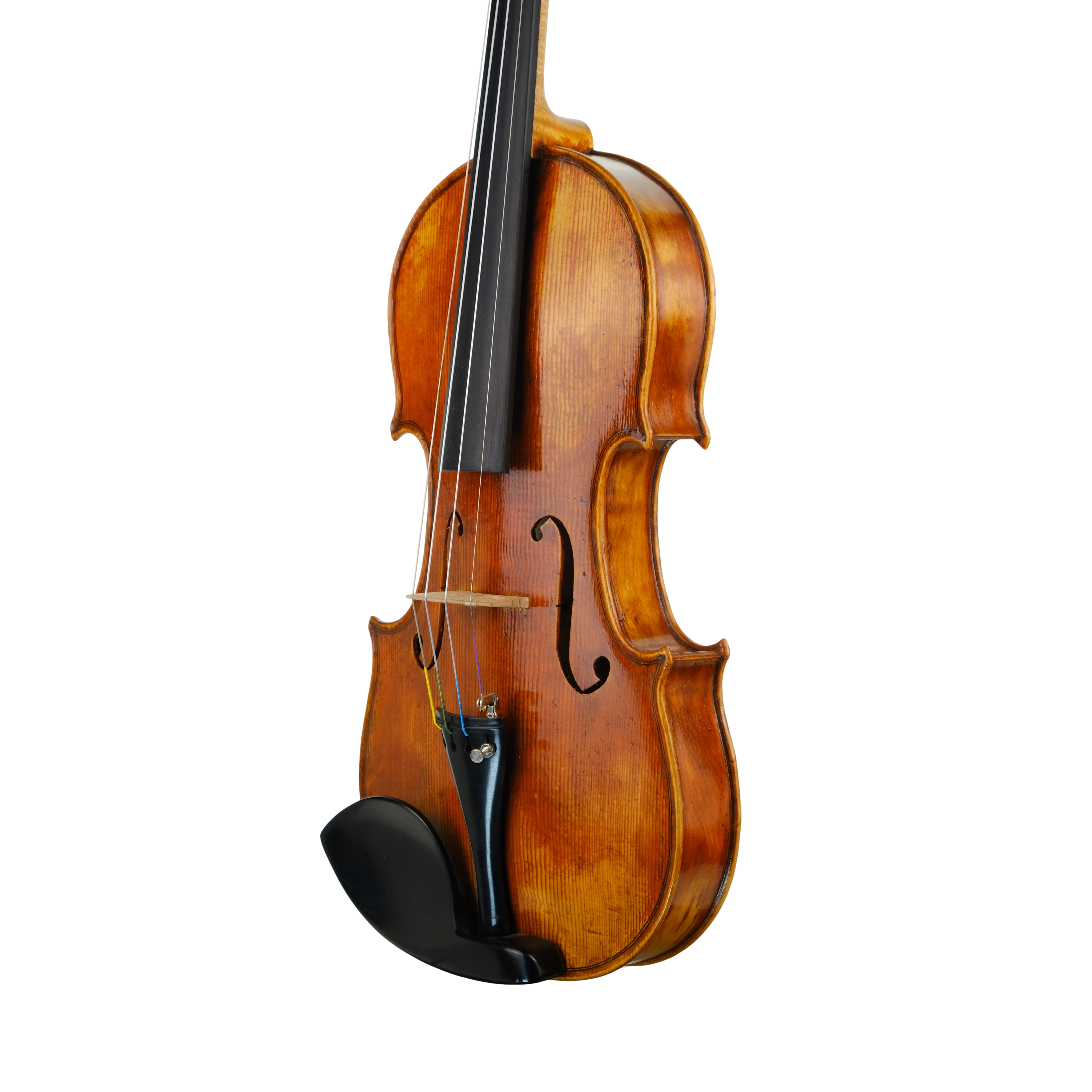 Violin - Fabrizio Fornara, Cremona 2016, 1