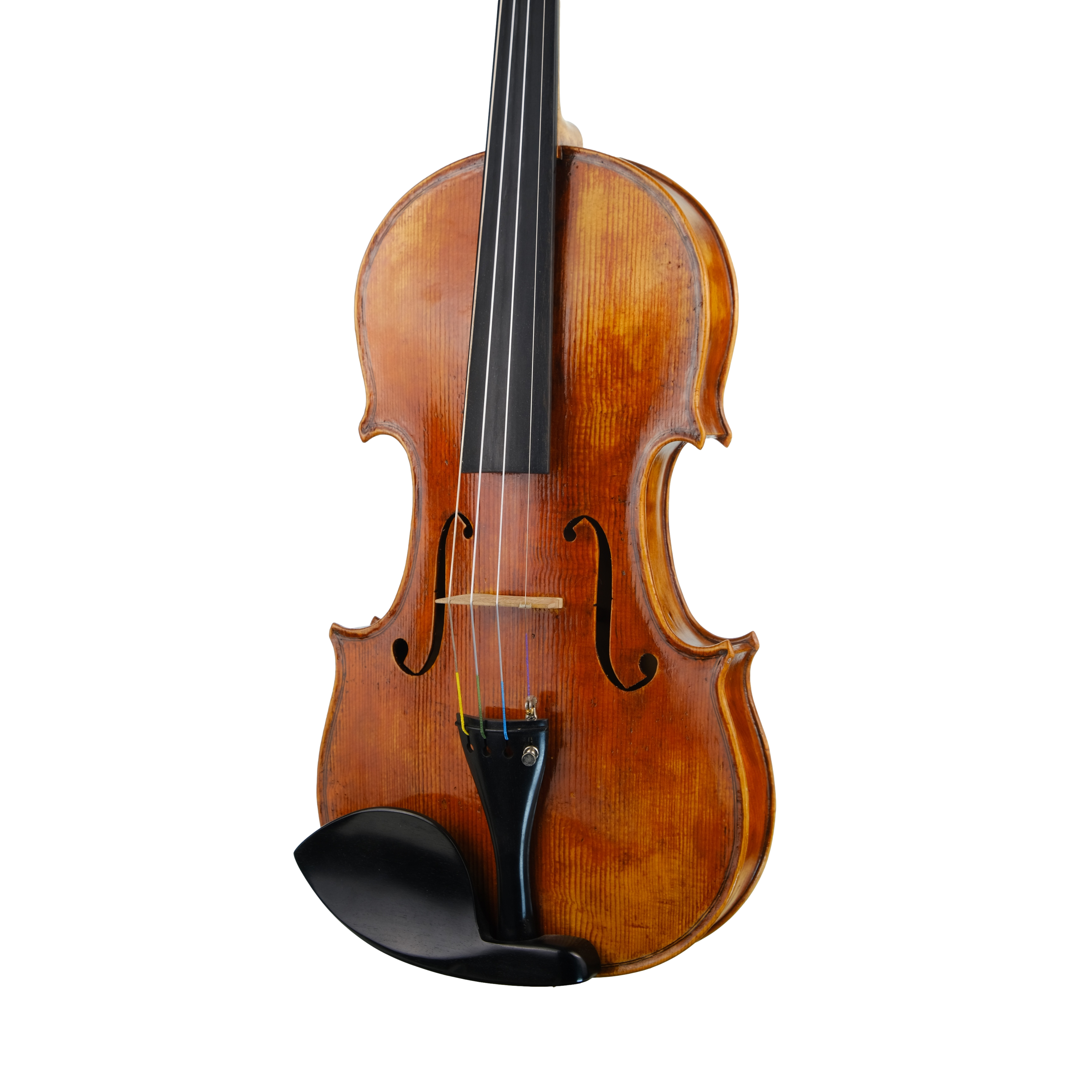Violin - Fabrizio Fornara, Cremona 2016, 1