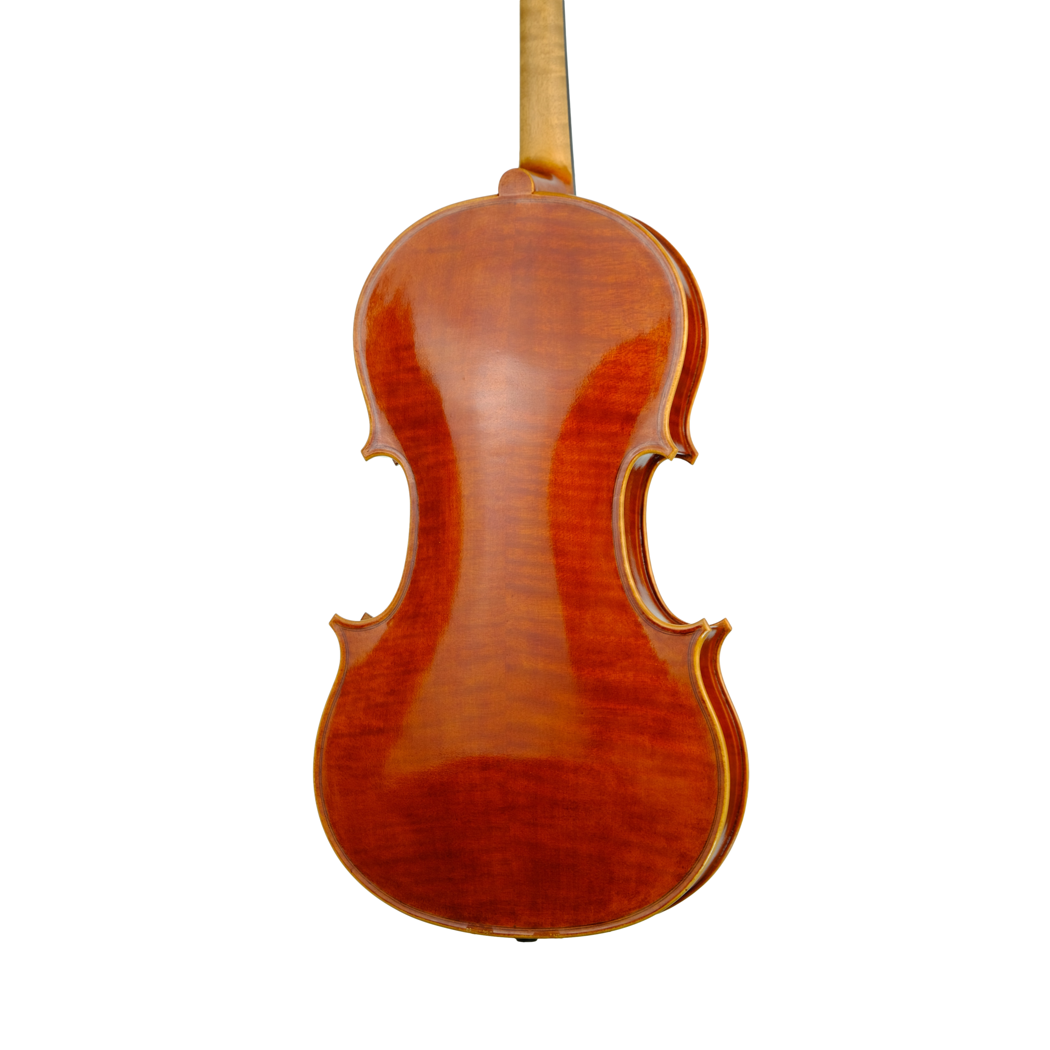 Viola 41cm - Marco Dotti, Ornati Cremona 2019