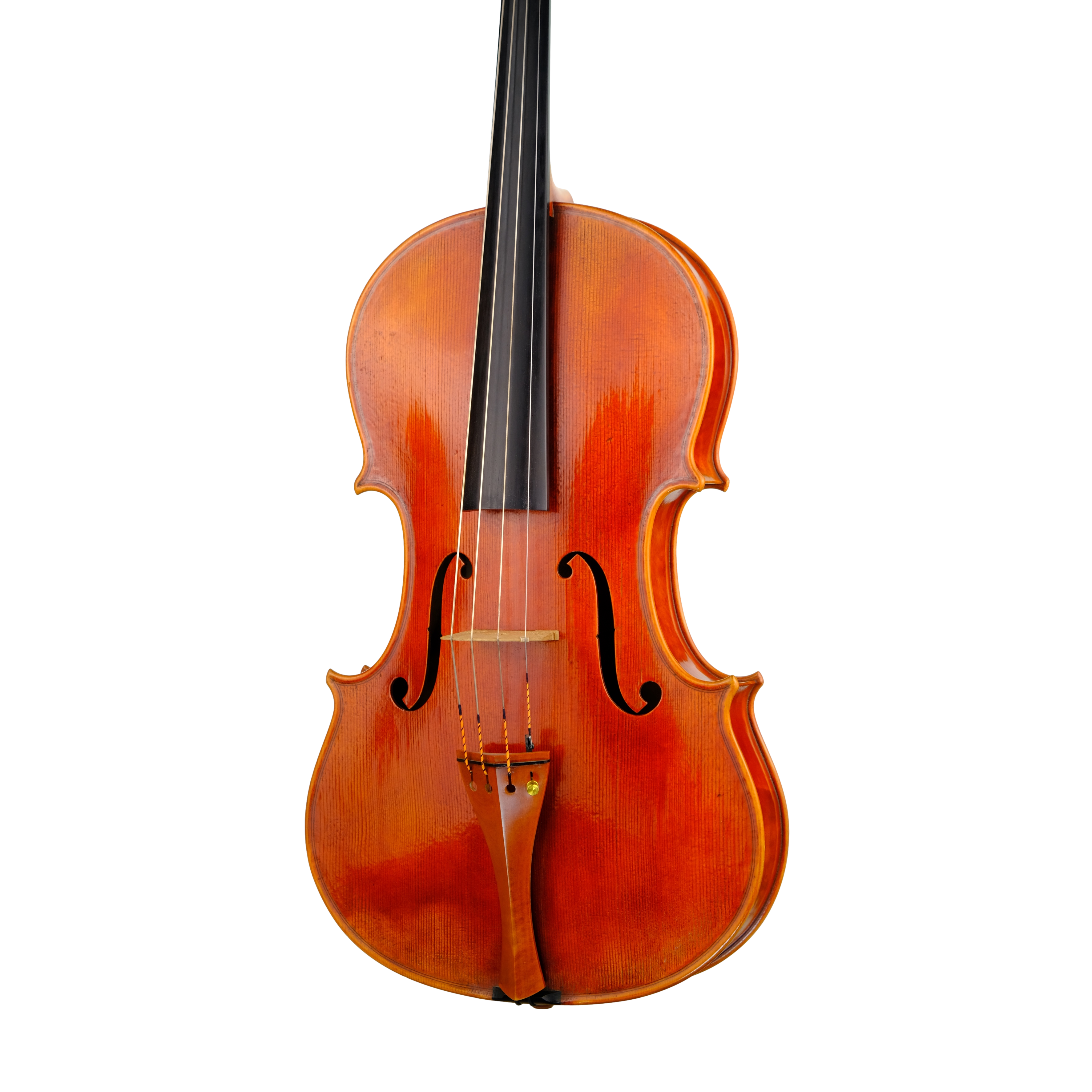 Viola 40,5cm - Mina Mazzolari, Cremona 2014