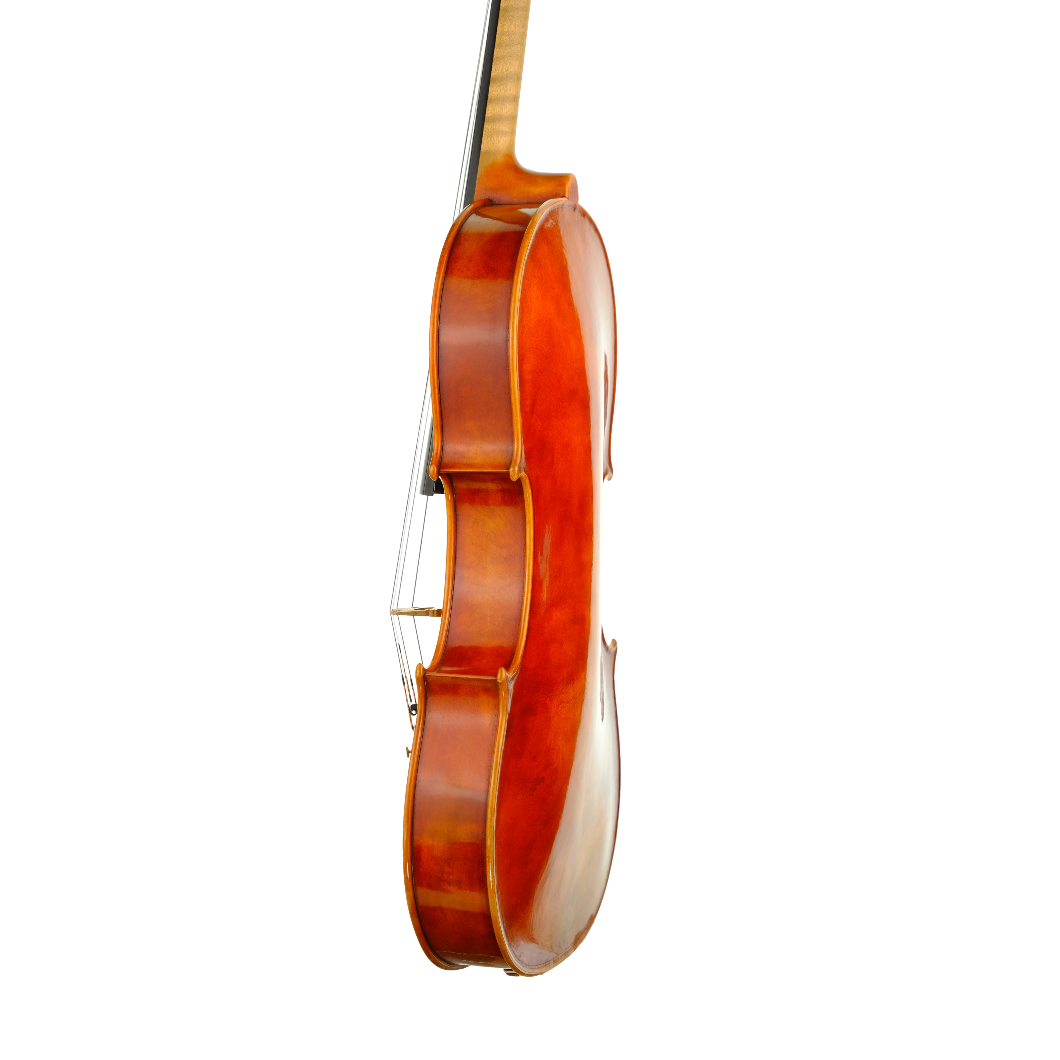 Viola 40,5cm - Mina Mazzolari, Cremona 2014