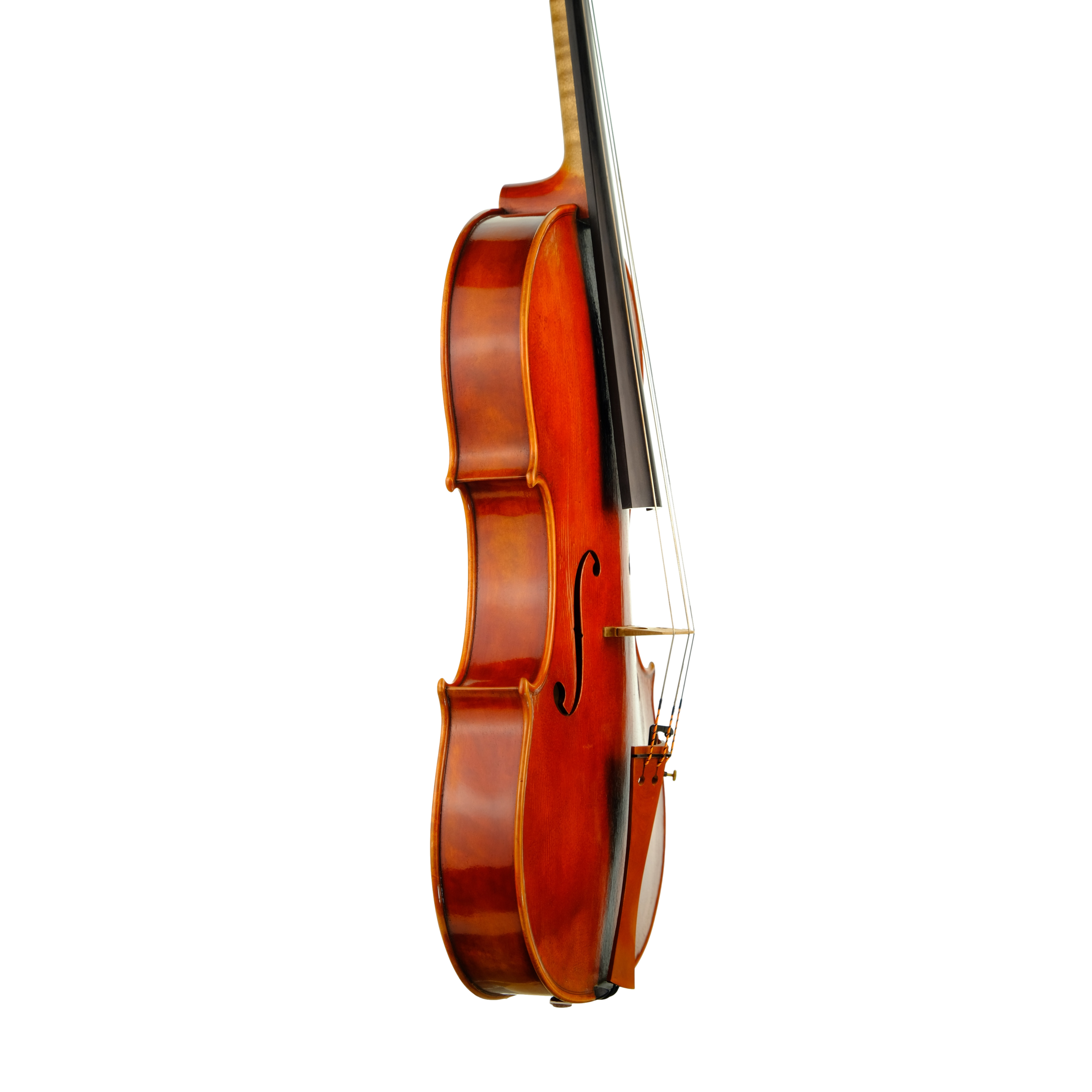 Viola 40,5cm - Mina Mazzolari, Cremona 2014