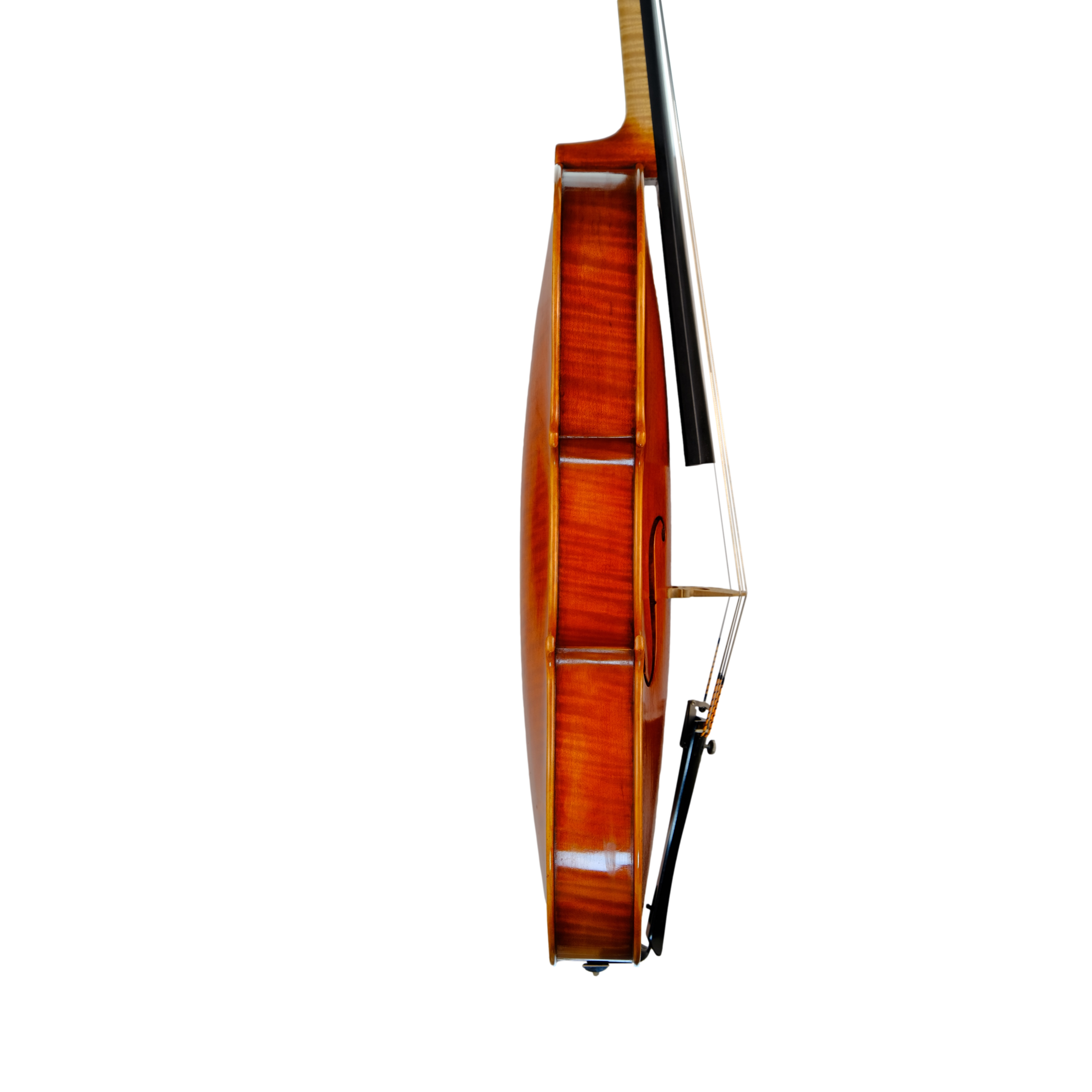 Viola 41,5cm - Edgar Russ, Copy of Mantegazza, Cremona 2020