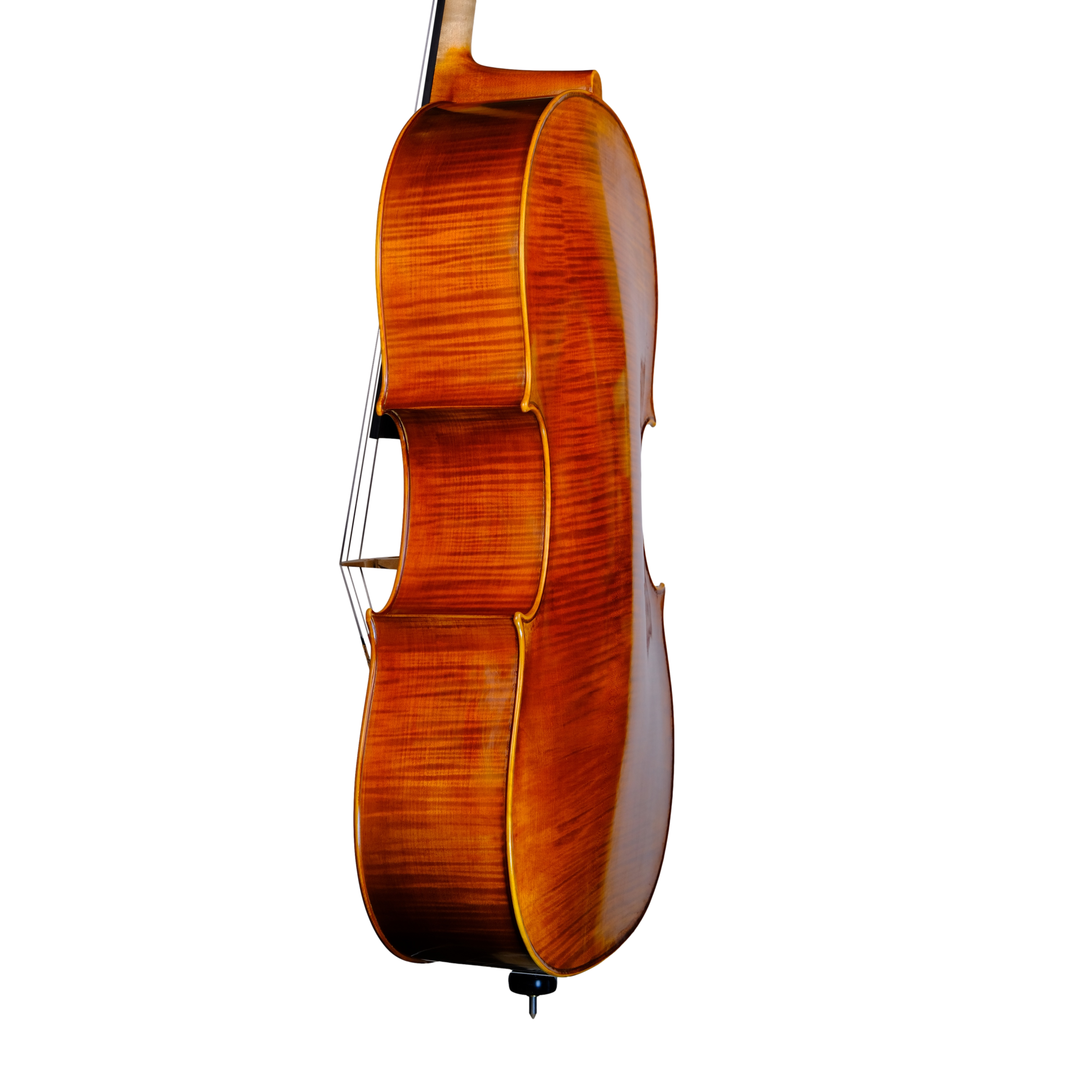 Cello - Linea Macchi, Domenico Montagnana "Sleeping Beauty", Cremona 2022