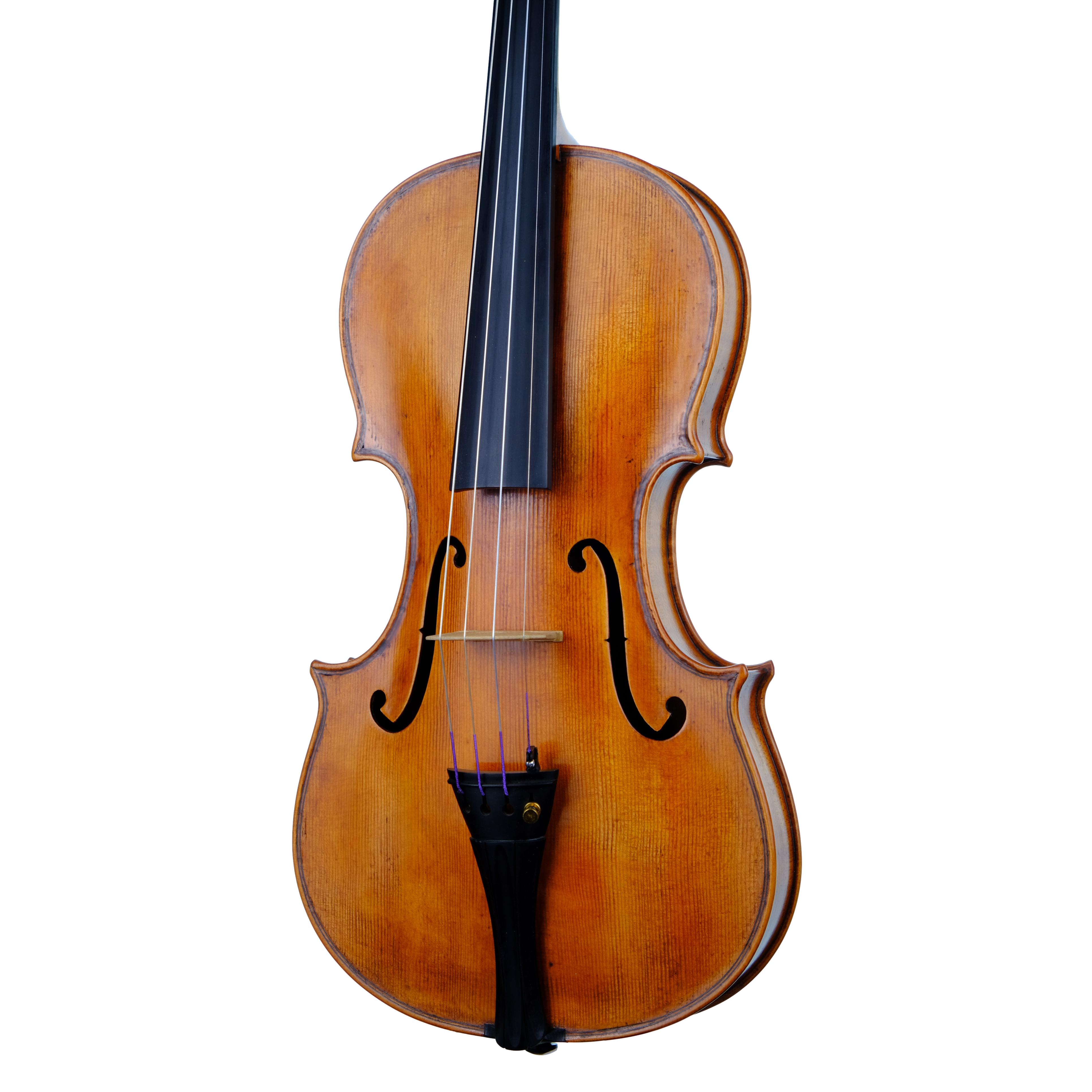 Violin - Marco Dotti, copy of Carlo Antonio Testore, Cremona 2023