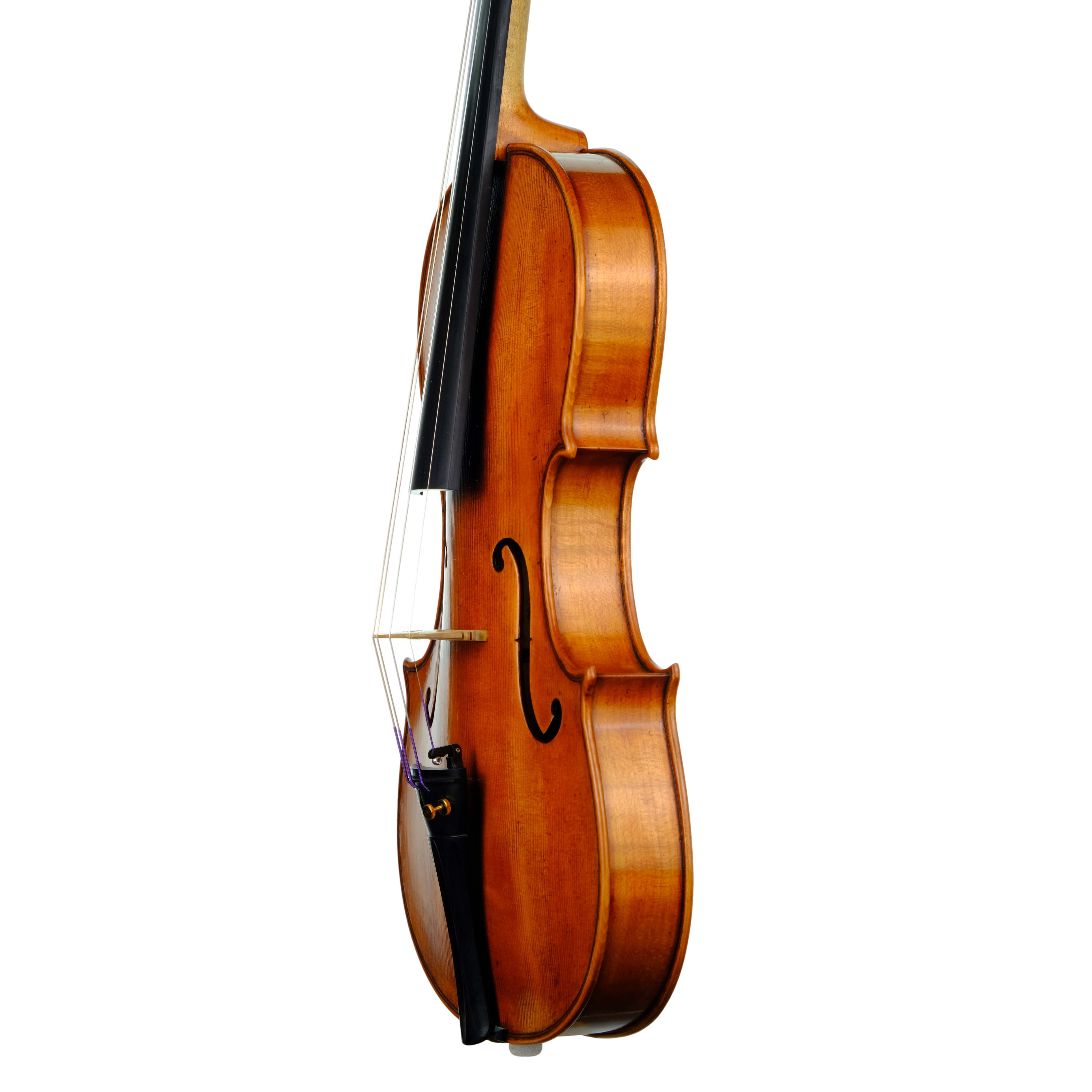 Violin - Marco Dotti, copy of Carlo Antonio Testore, Cremona 2023