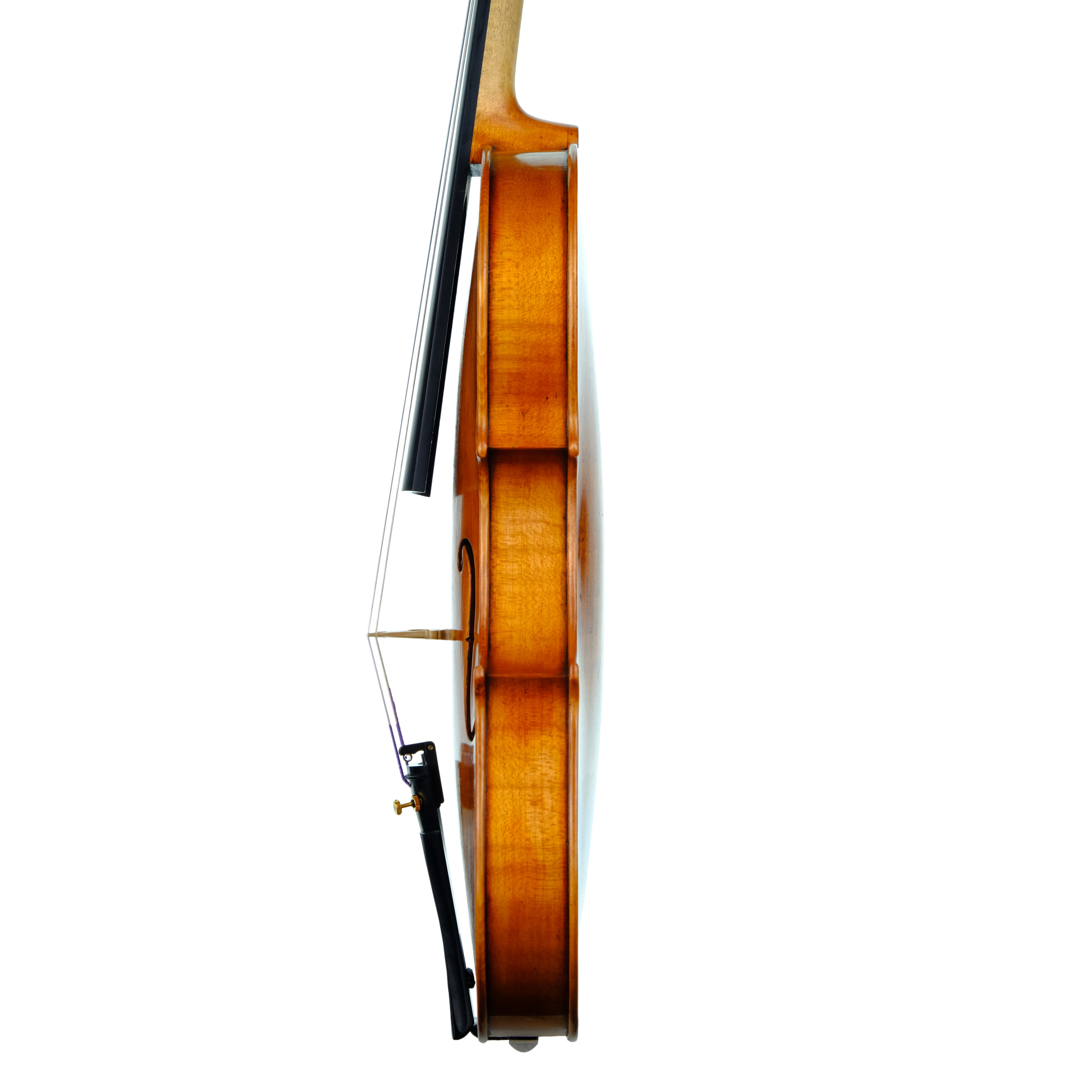 Violin - Marco Dotti, copy of Carlo Antonio Testore, Cremona 2023