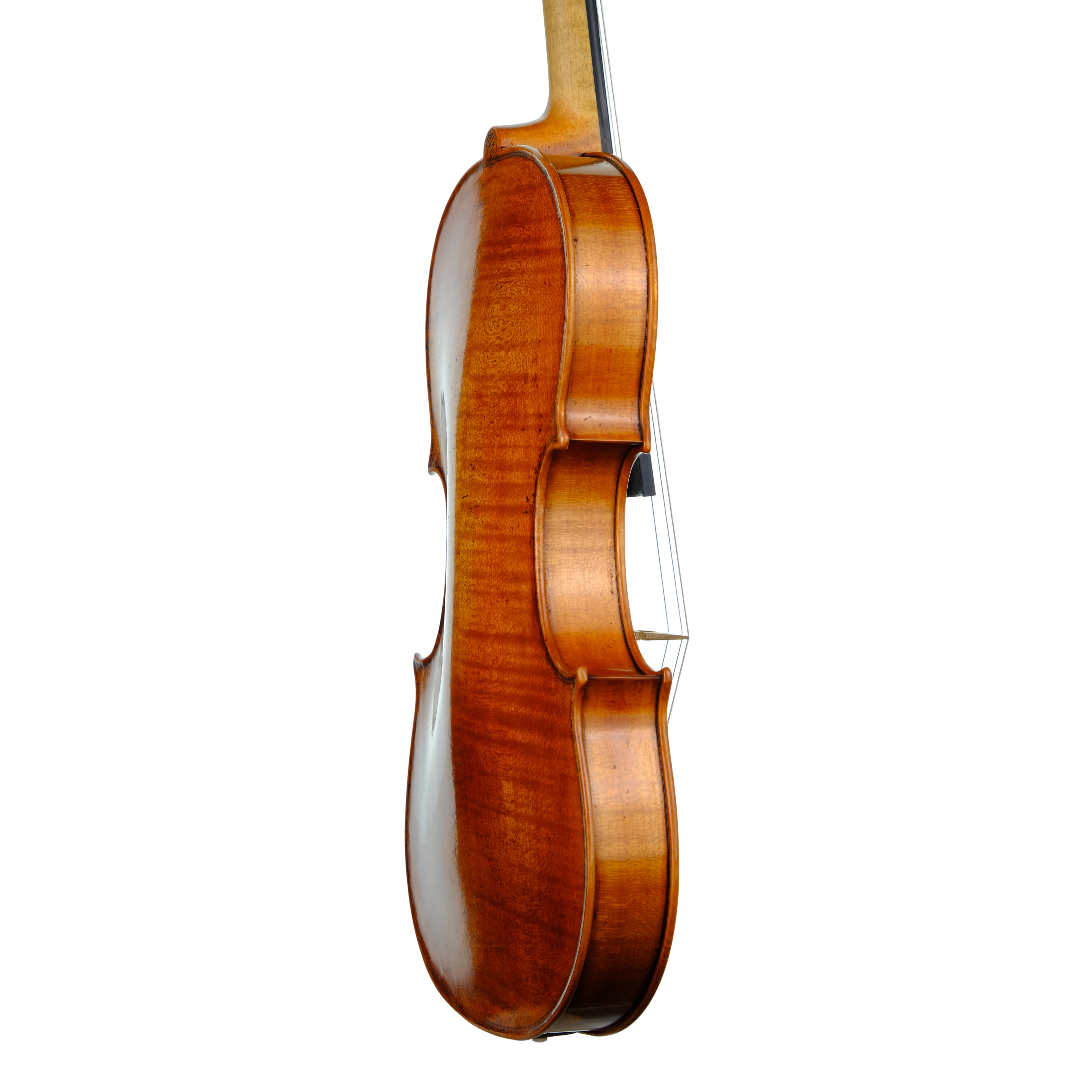 Violin - Marco Dotti, copy of Carlo Antonio Testore, Cremona 2023