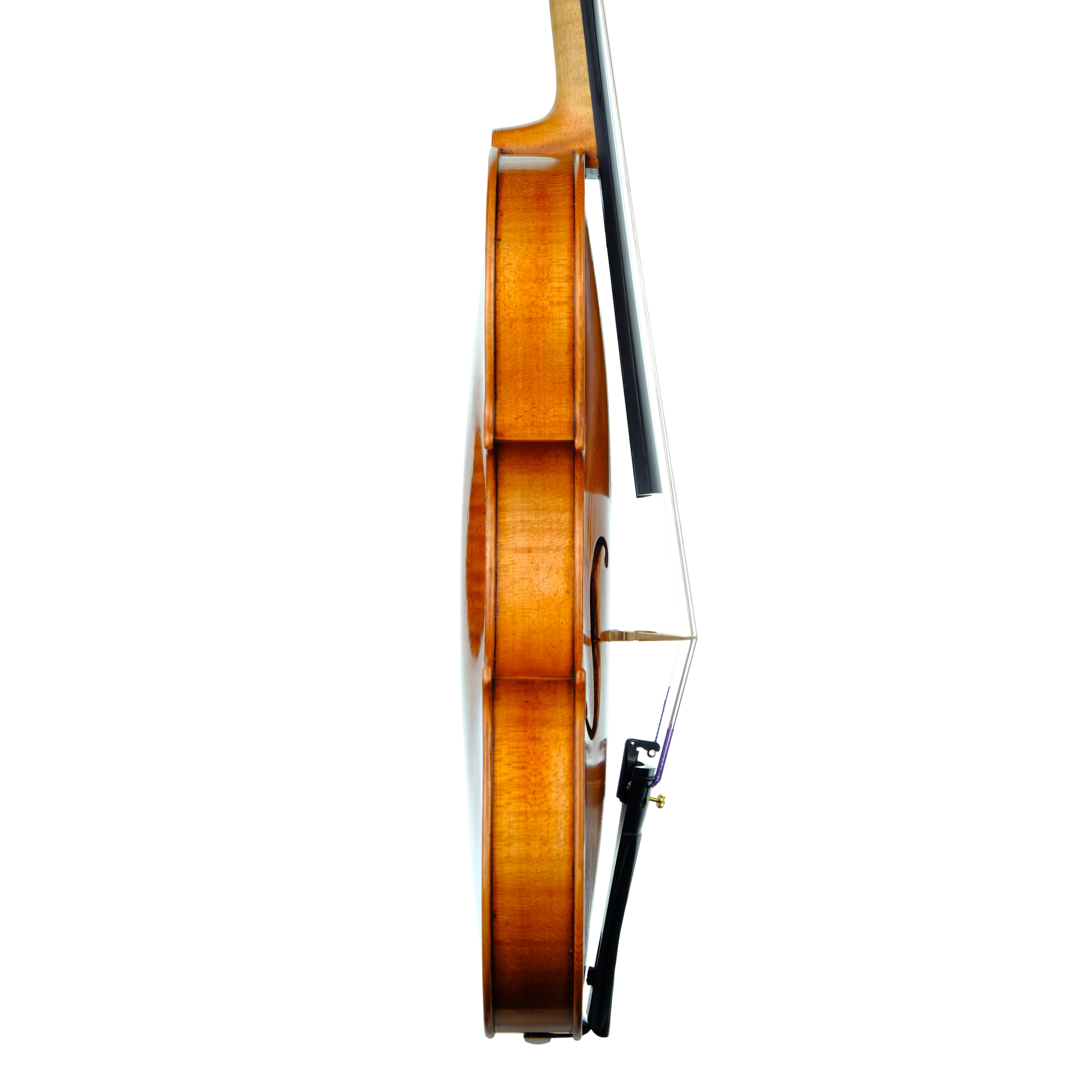 Violin - Marco Dotti, copy of Carlo Antonio Testore, Cremona 2023