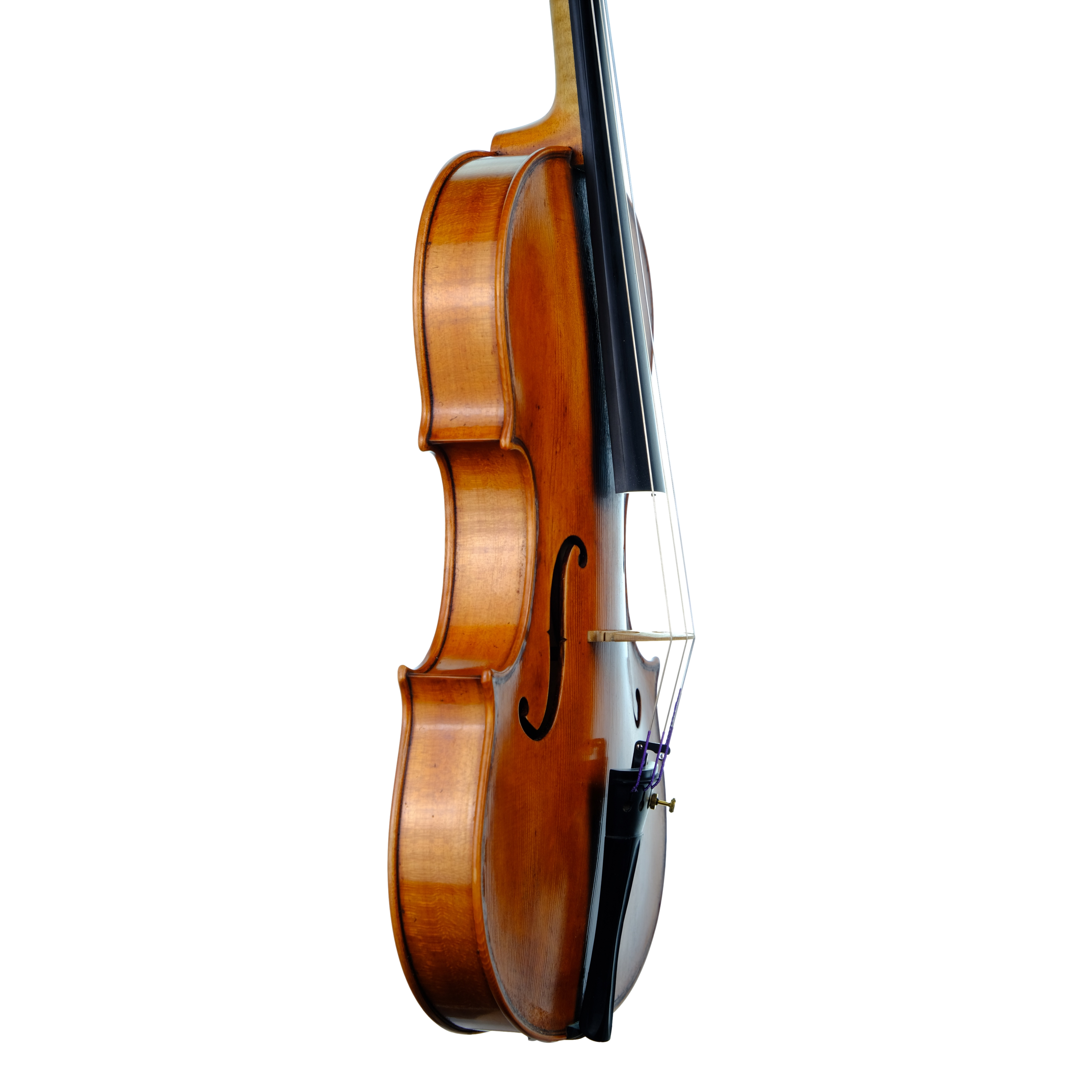 Violin - Marco Dotti, copy of Carlo Antonio Testore, Cremona 2023