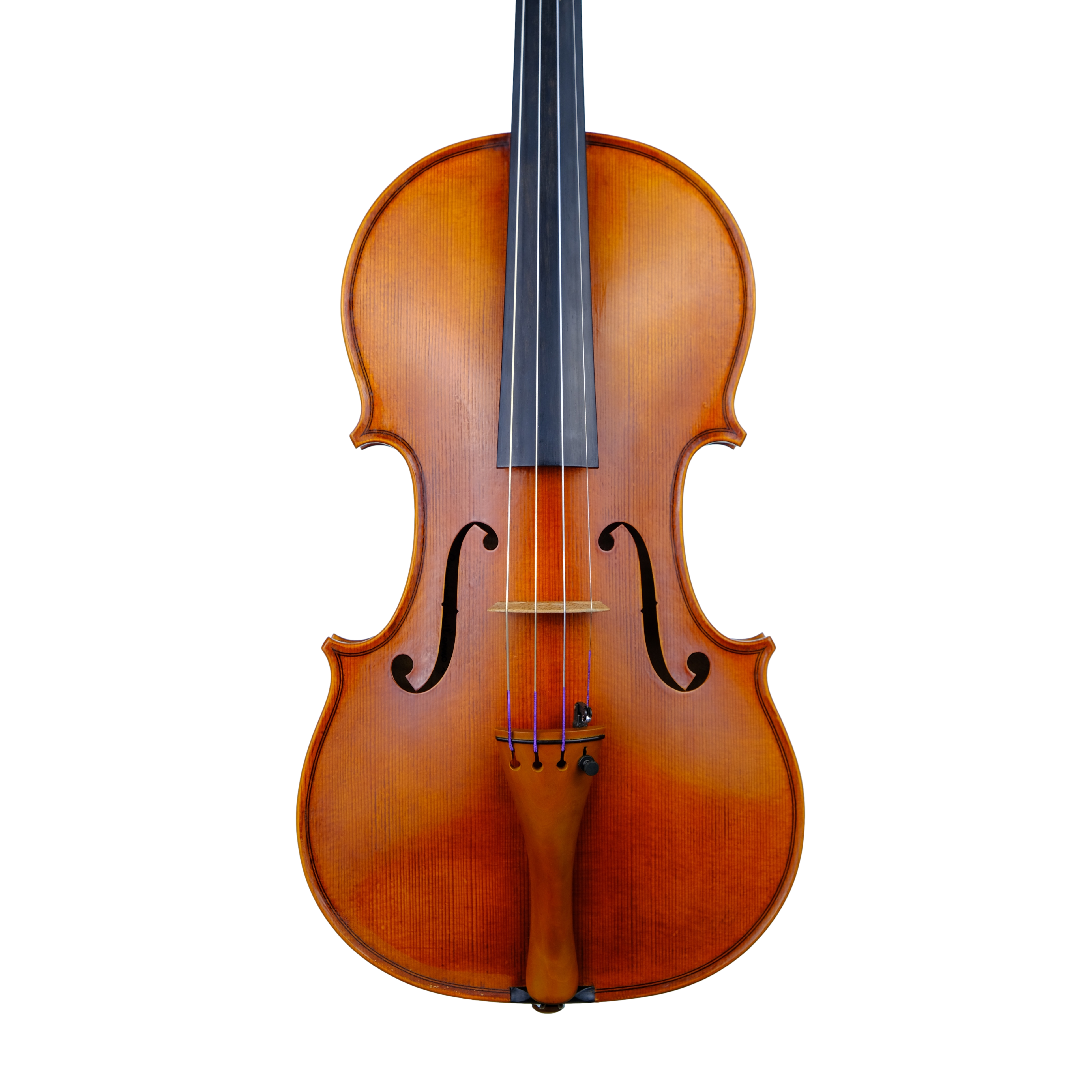 Violin - Enrico Bertoncini, Cremona 2023