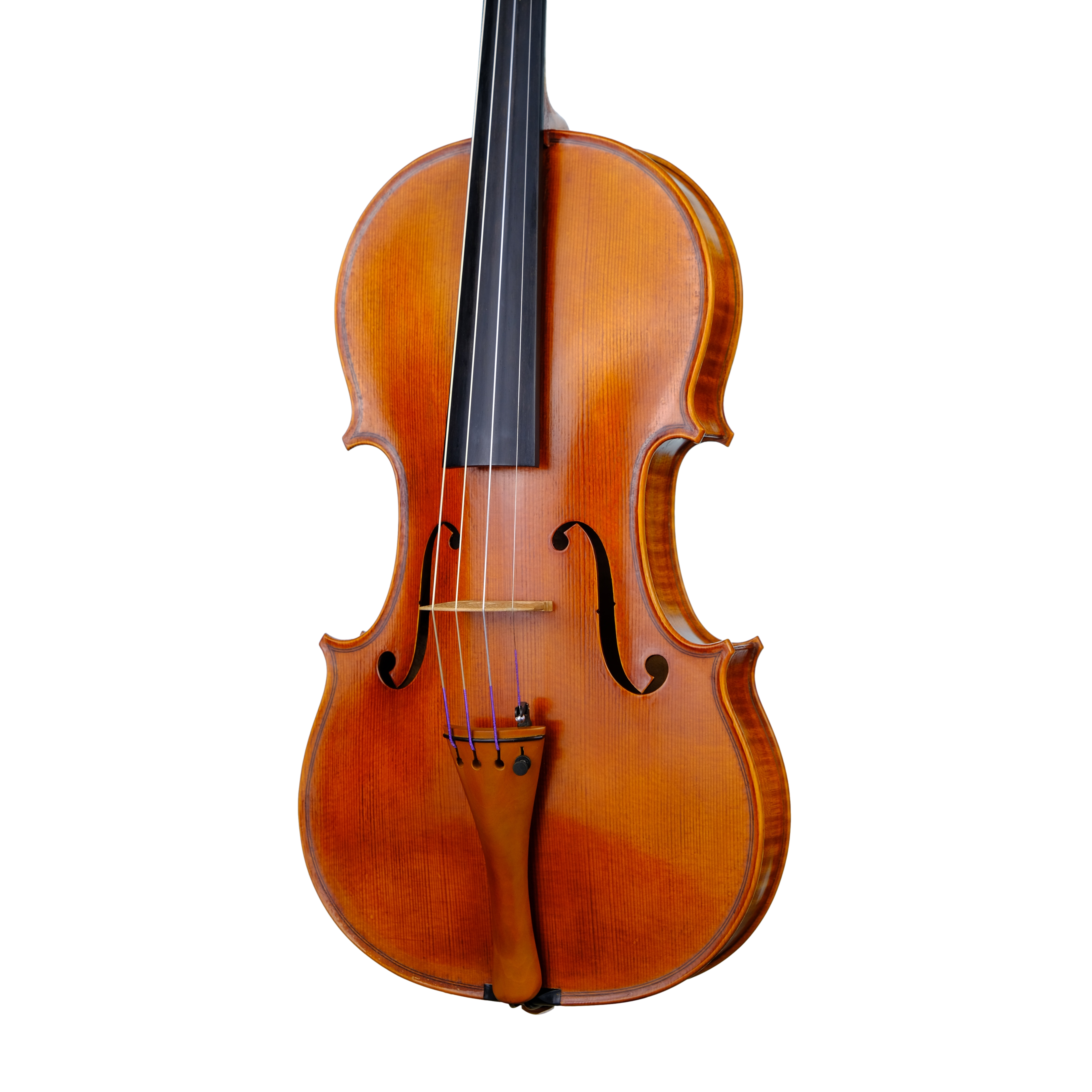 Violin - Enrico Bertoncini, Cremona 2023