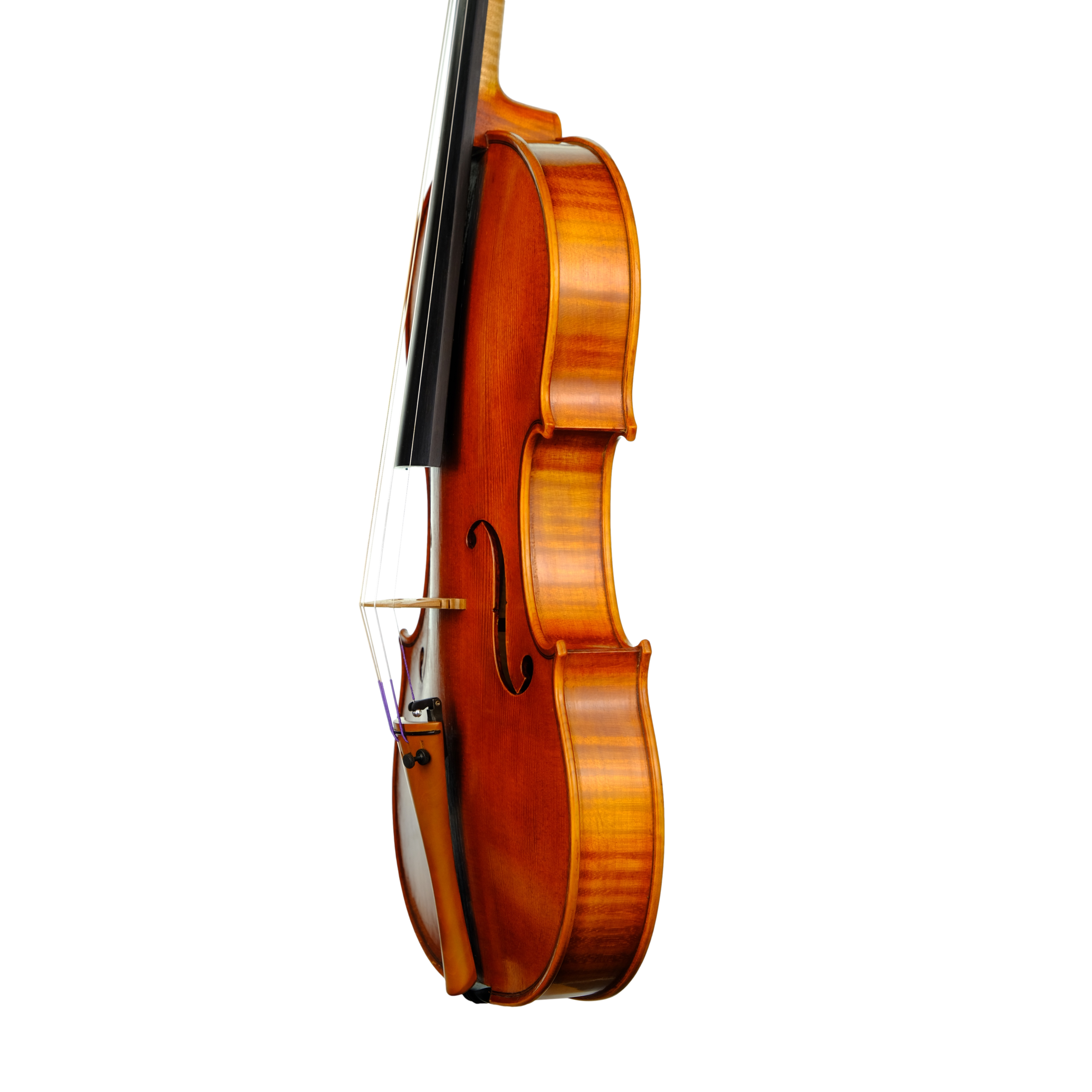 Violin - Enrico Bertoncini, Cremona 2023