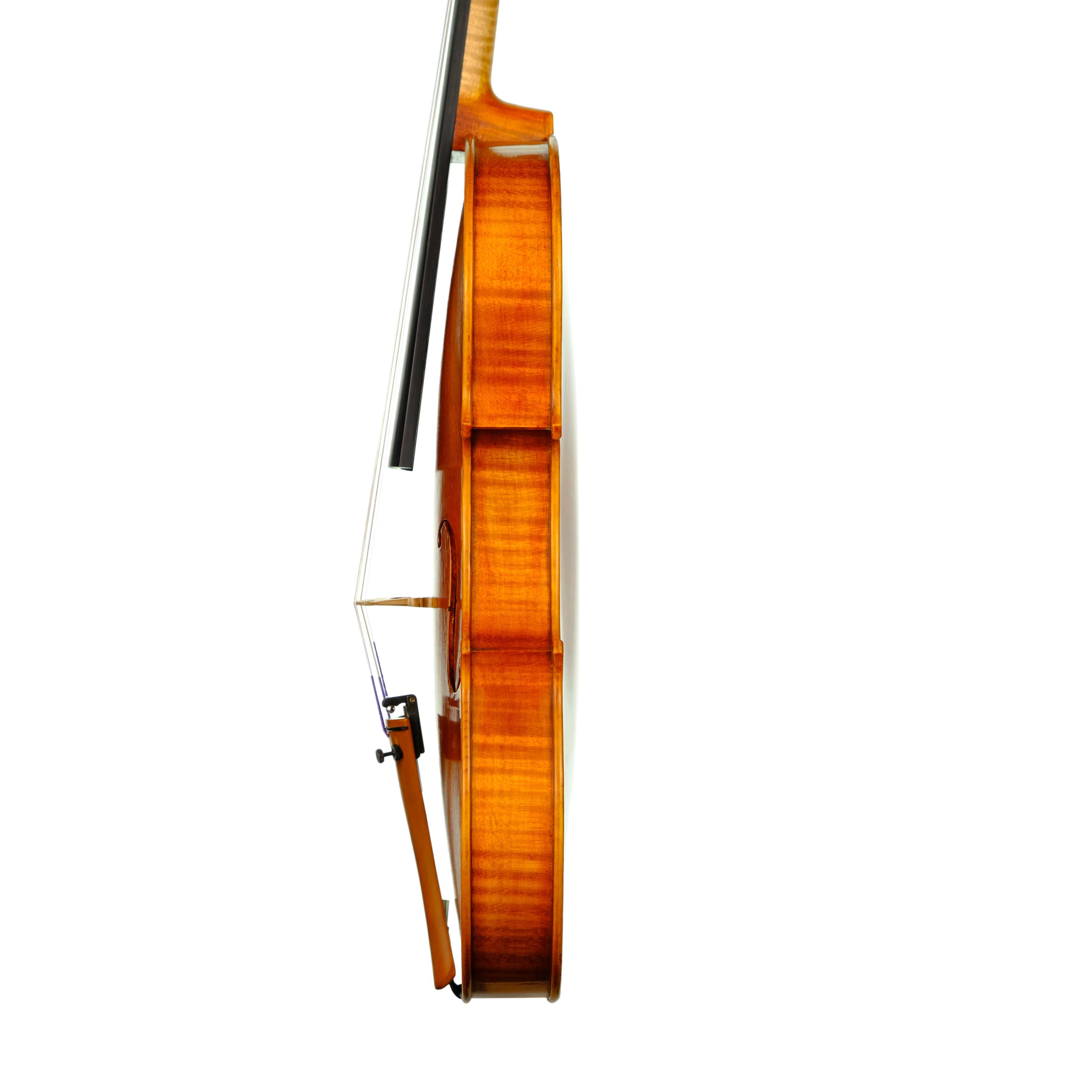 Violin - Enrico Bertoncini, Cremona 2023