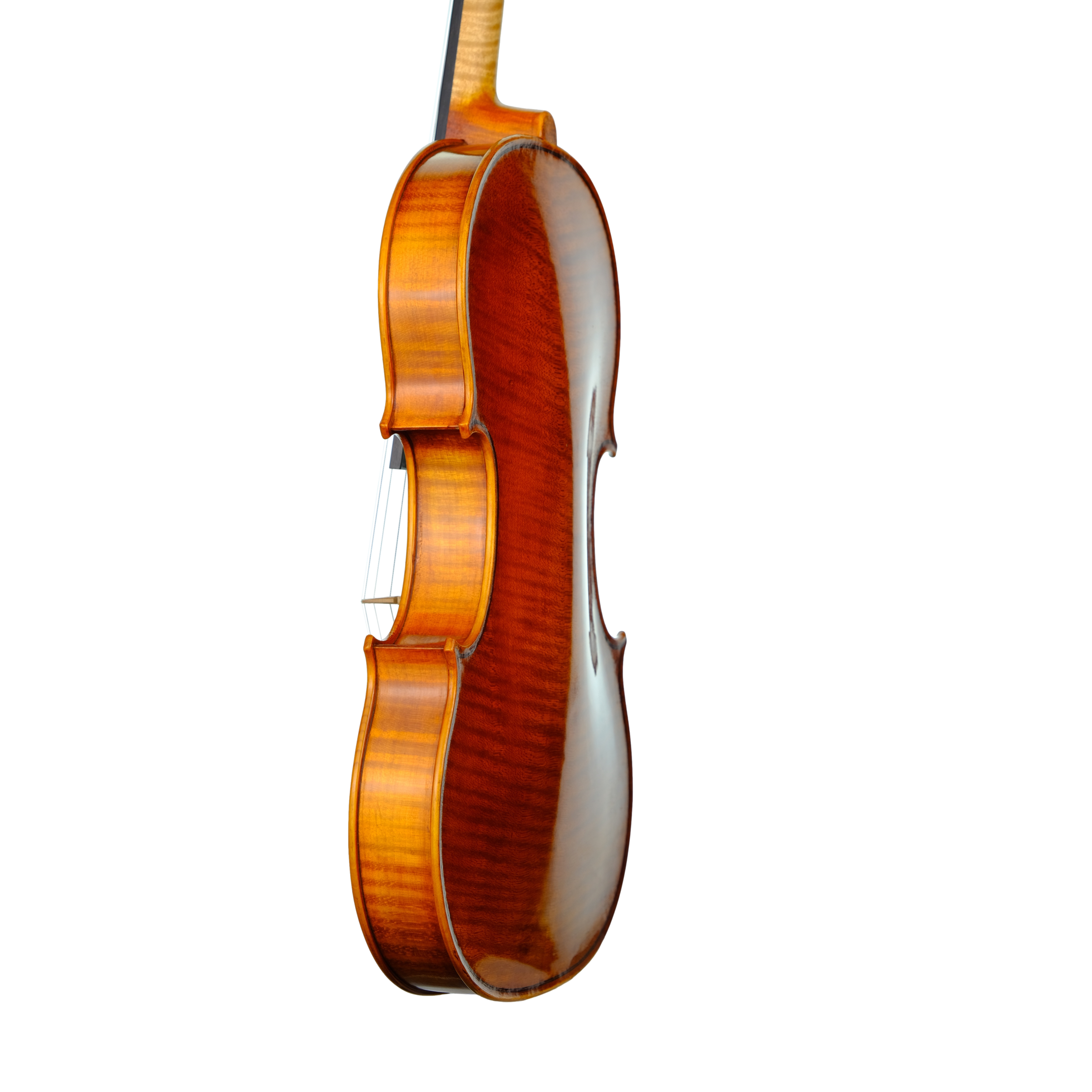 Violin - Enrico Bertoncini, Cremona 2023