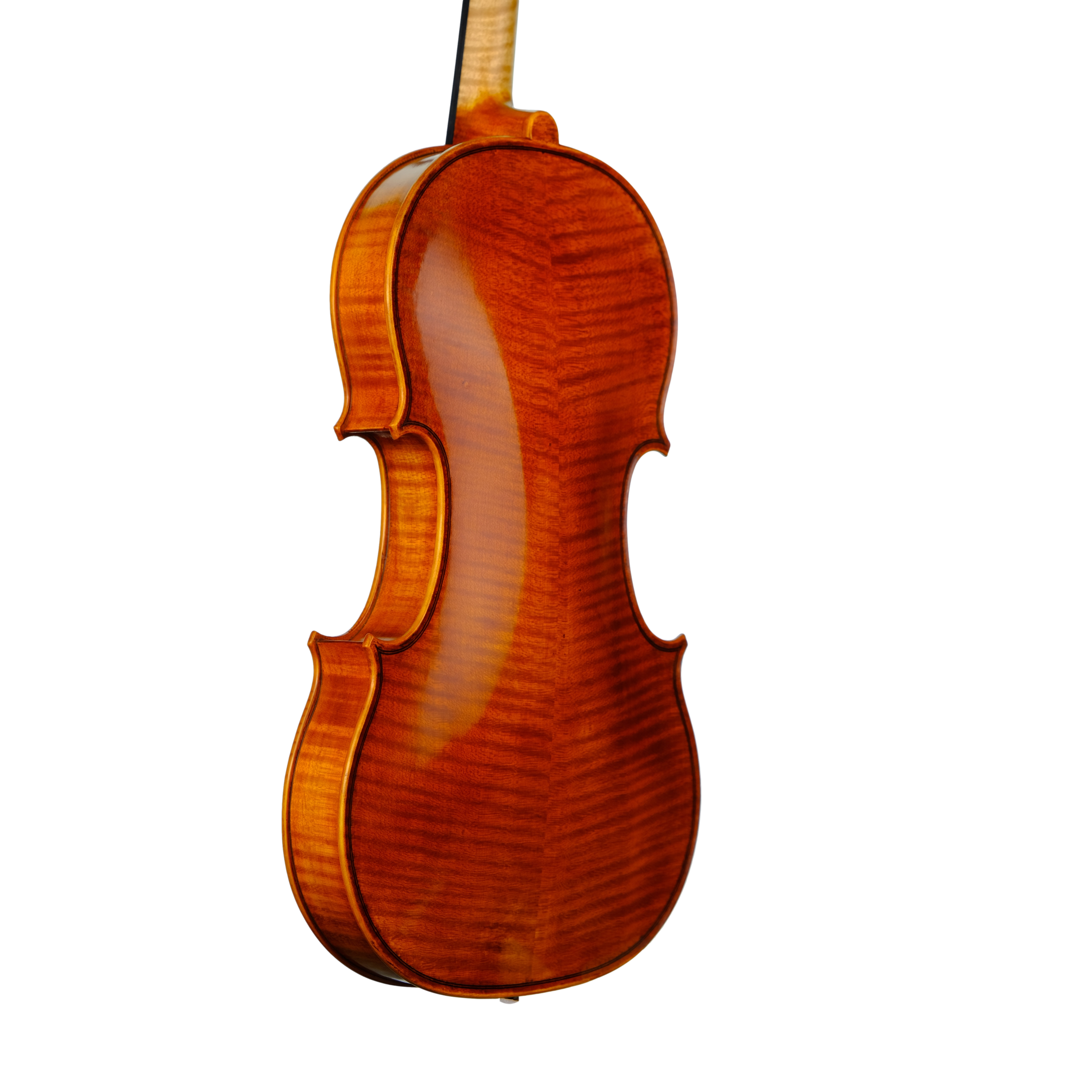 Violin - Enrico Bertoncini, Cremona 2023