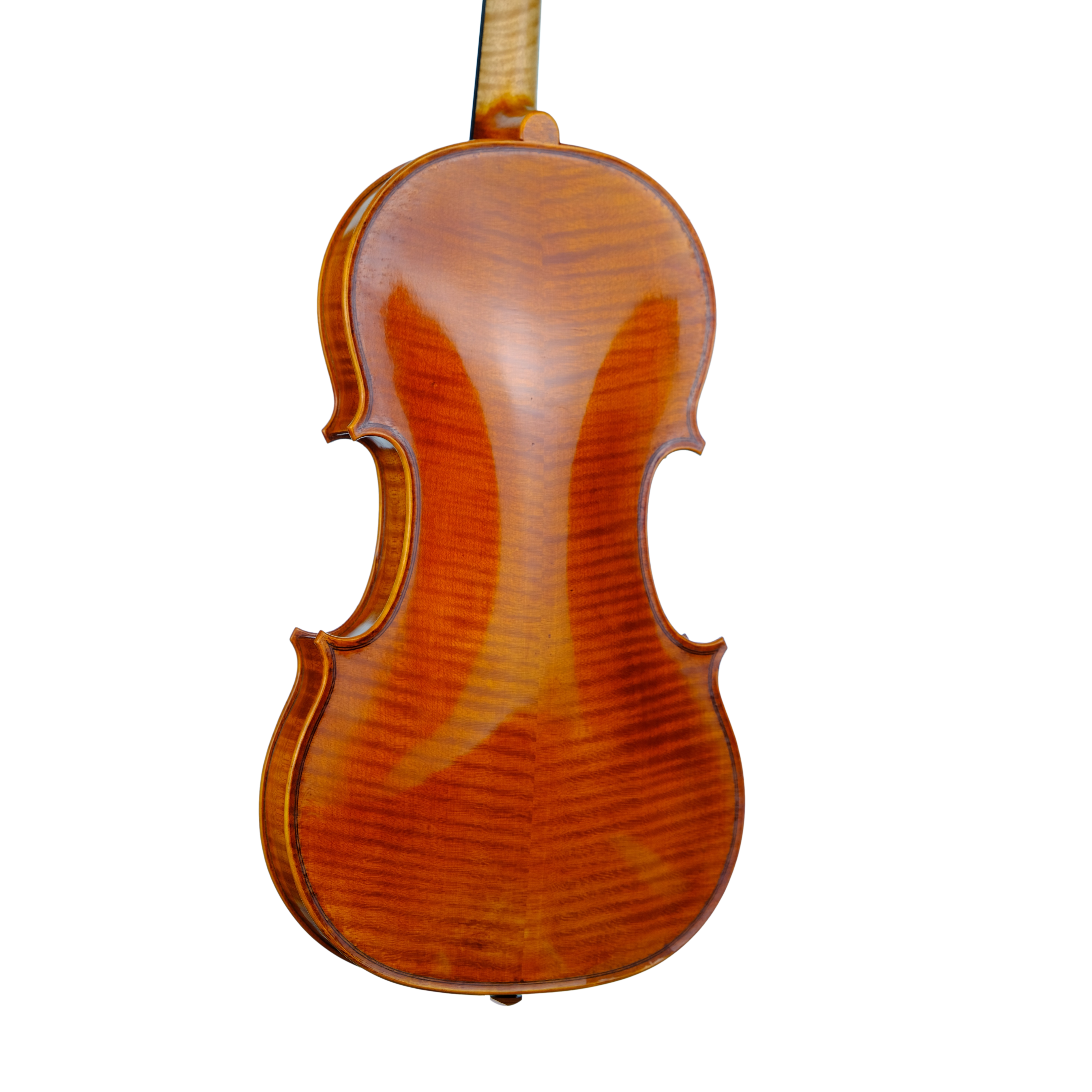 Violin - Enrico Bertoncini, Cremona 2023